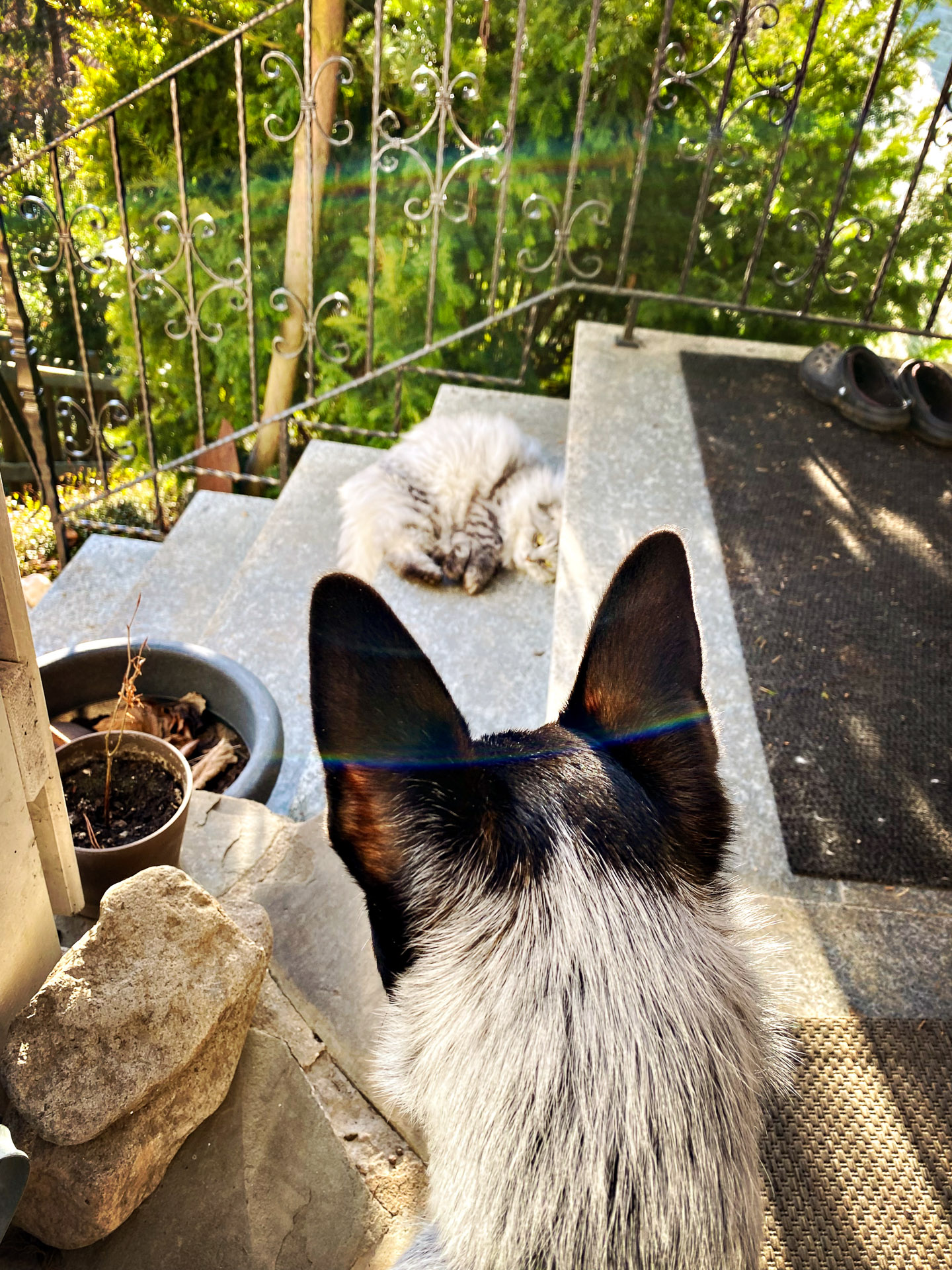 26-02-07bis11_HipstamaticPhoto-792172767.119073