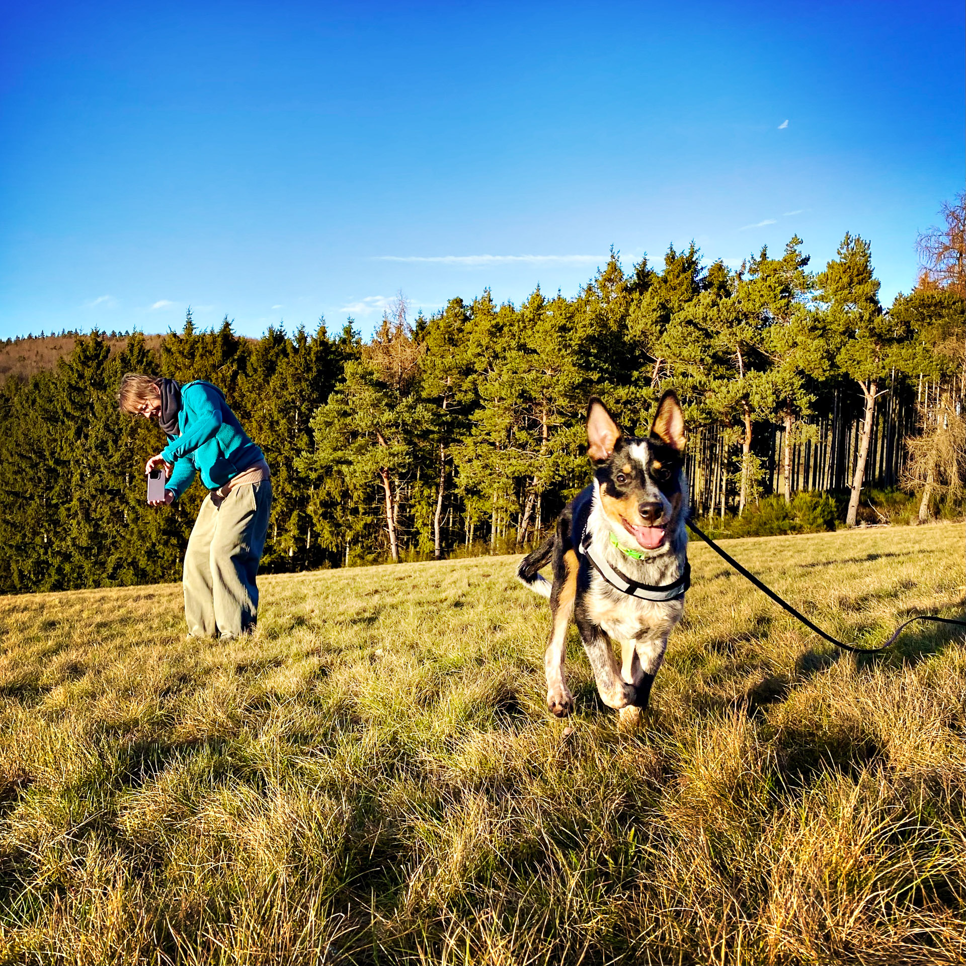 26-02-07bis11_HipstamaticPhoto-792172854.188882