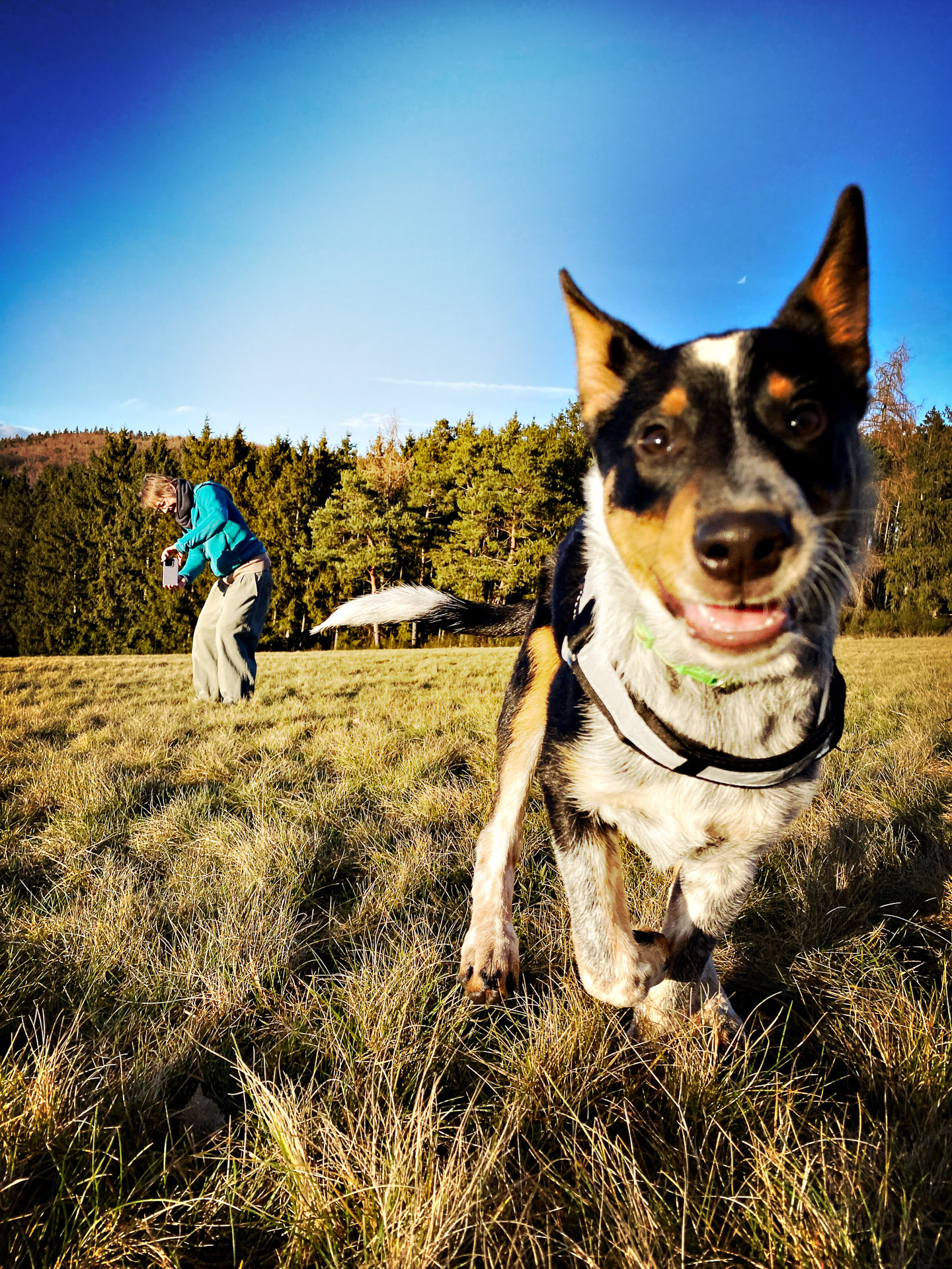 26-02-07bis11_HipstamaticPhoto-792172859.964796