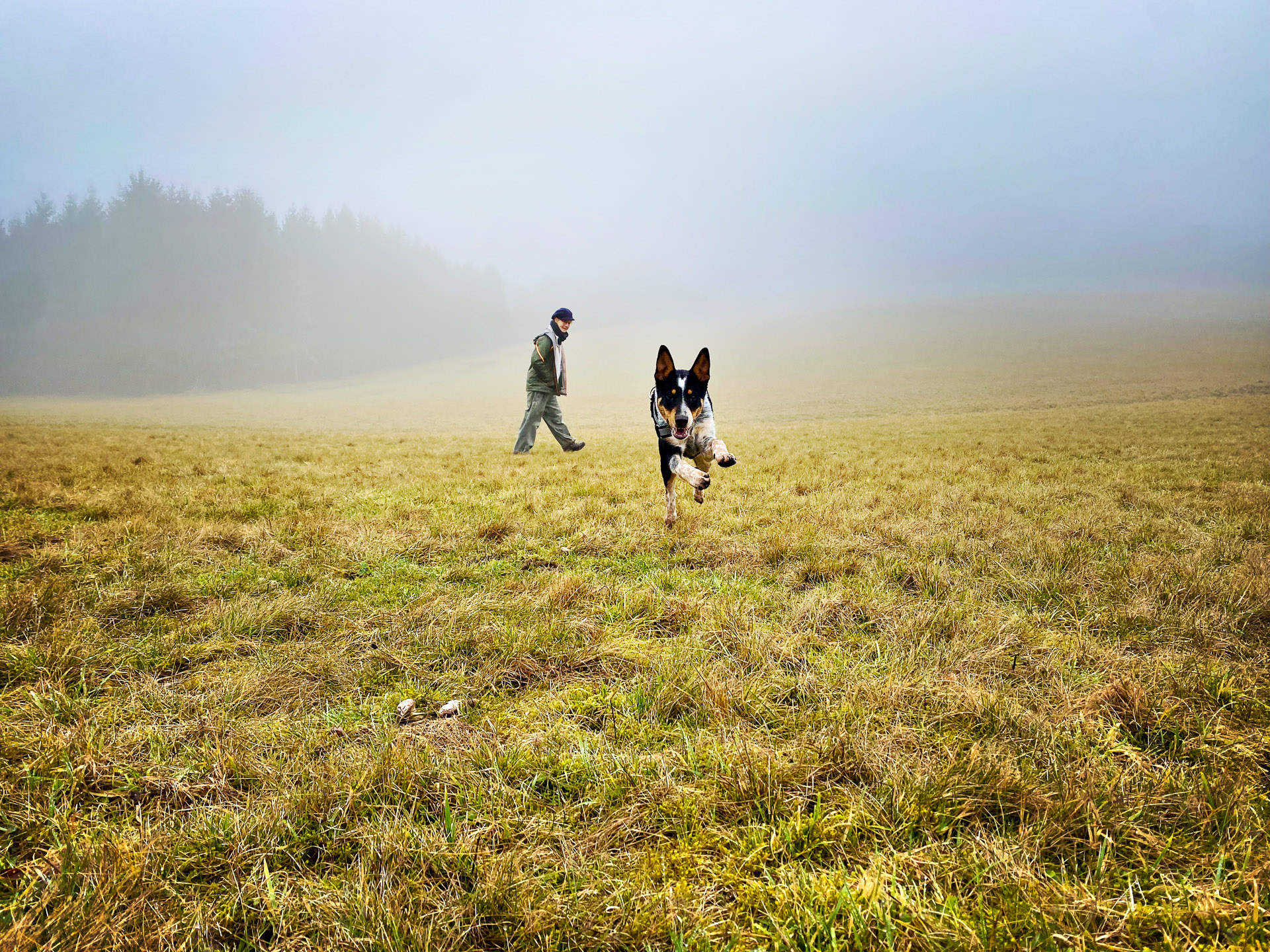 26-02-07bis11_HipstamaticPhoto-792245341.781362