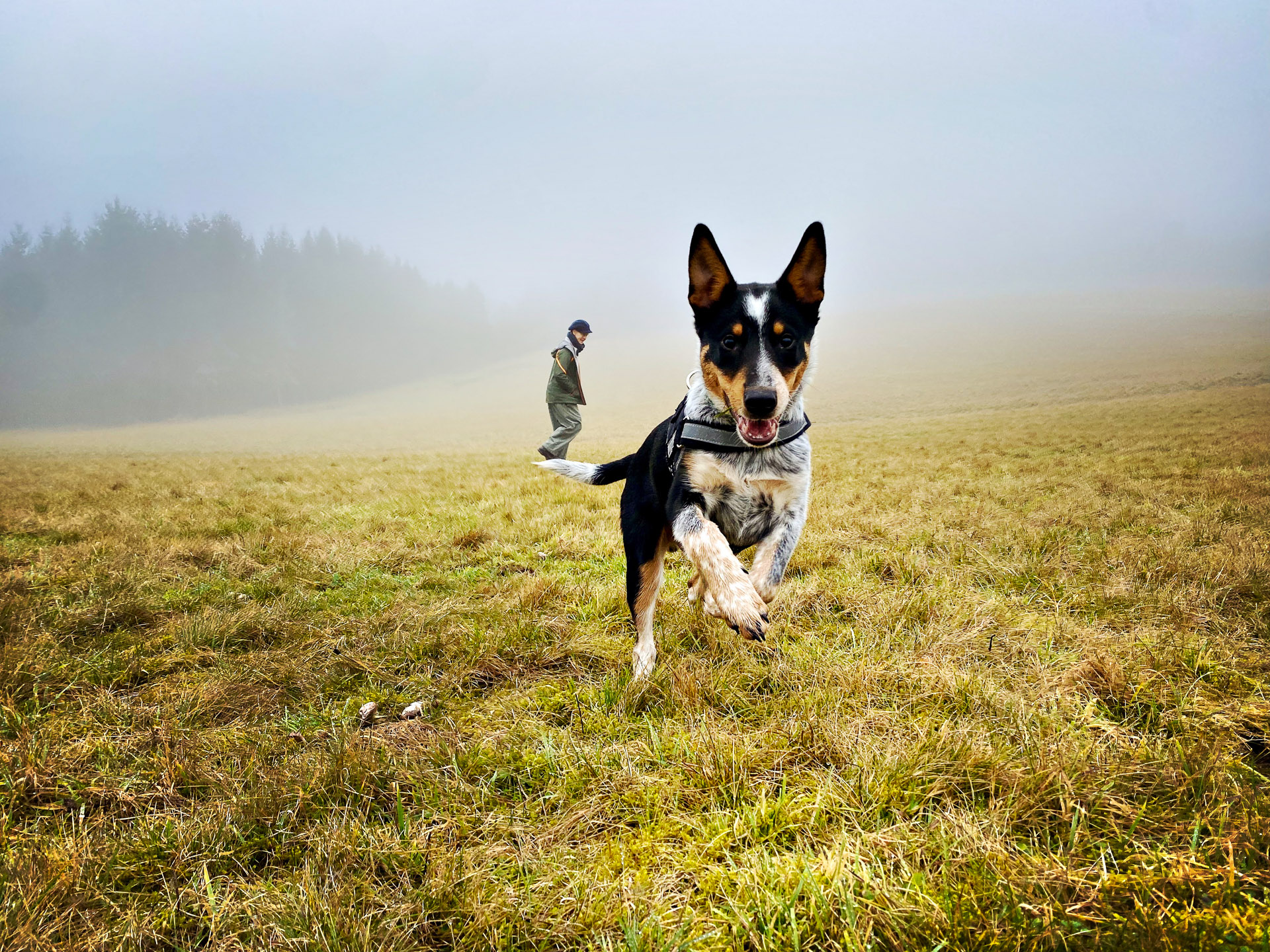 26-02-07bis11_HipstamaticPhoto-792245351.221795