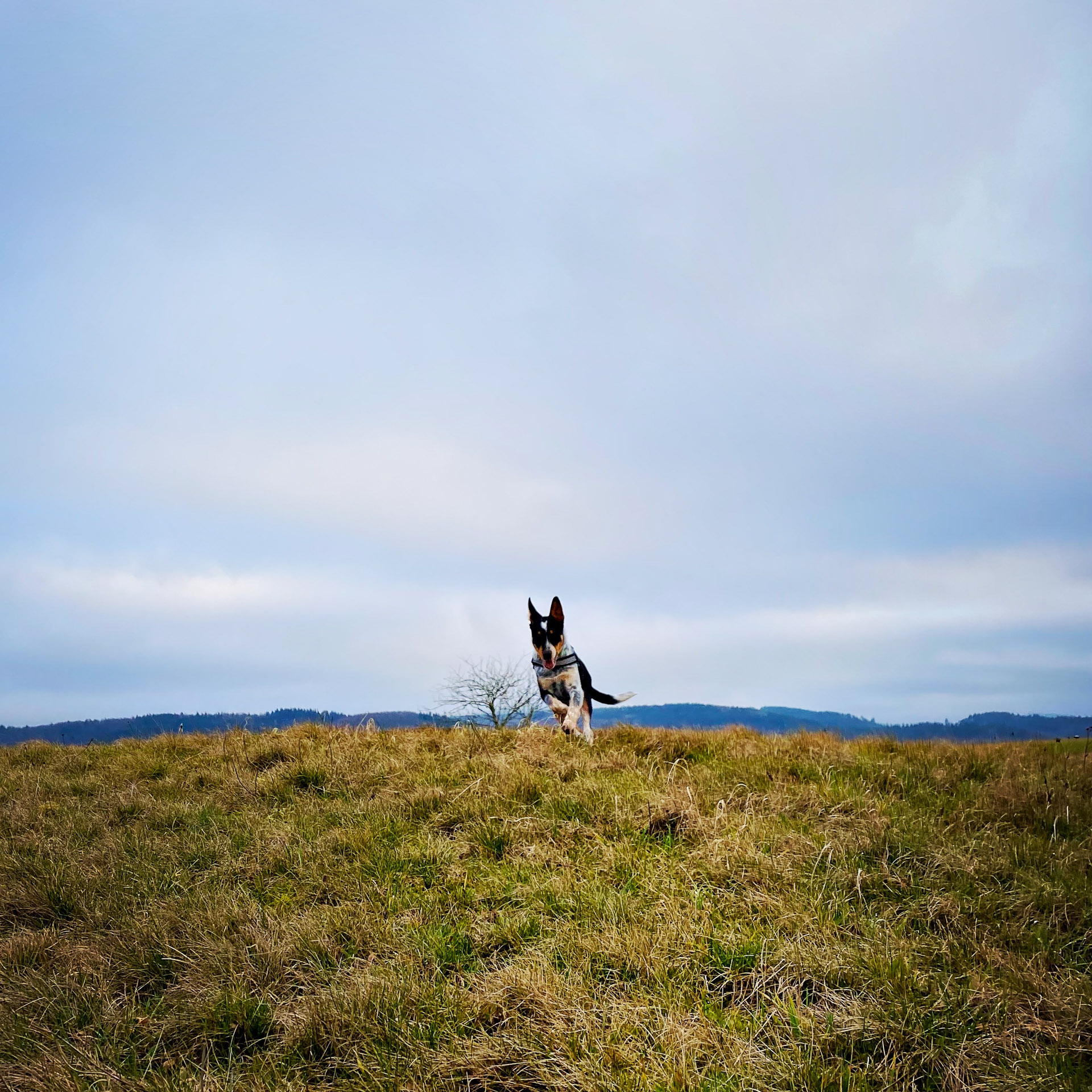 26-02-07bis11_HipstamaticPhoto-792268777.148532