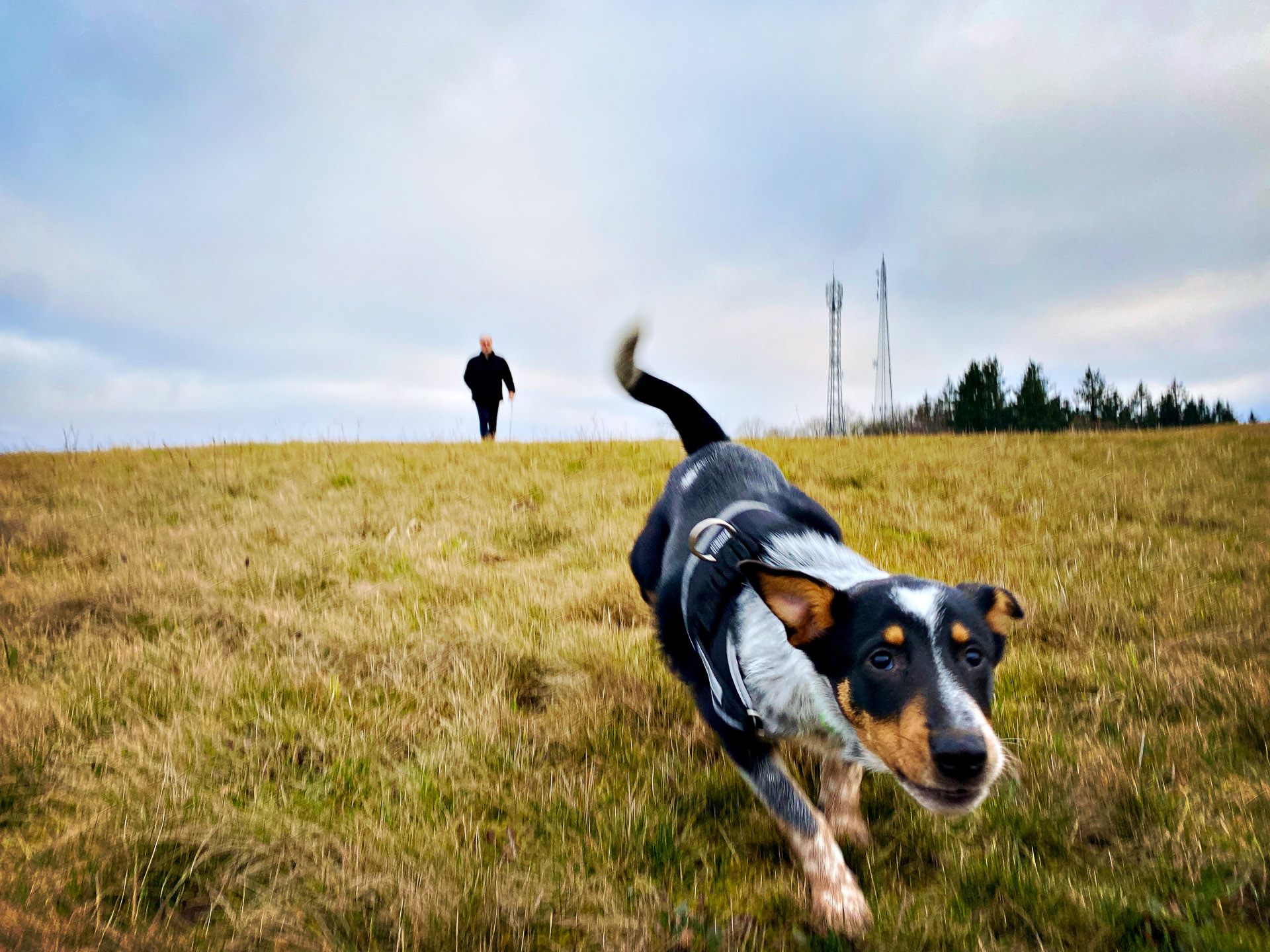 26-02-07bis11_HipstamaticPhoto-792268785.086334