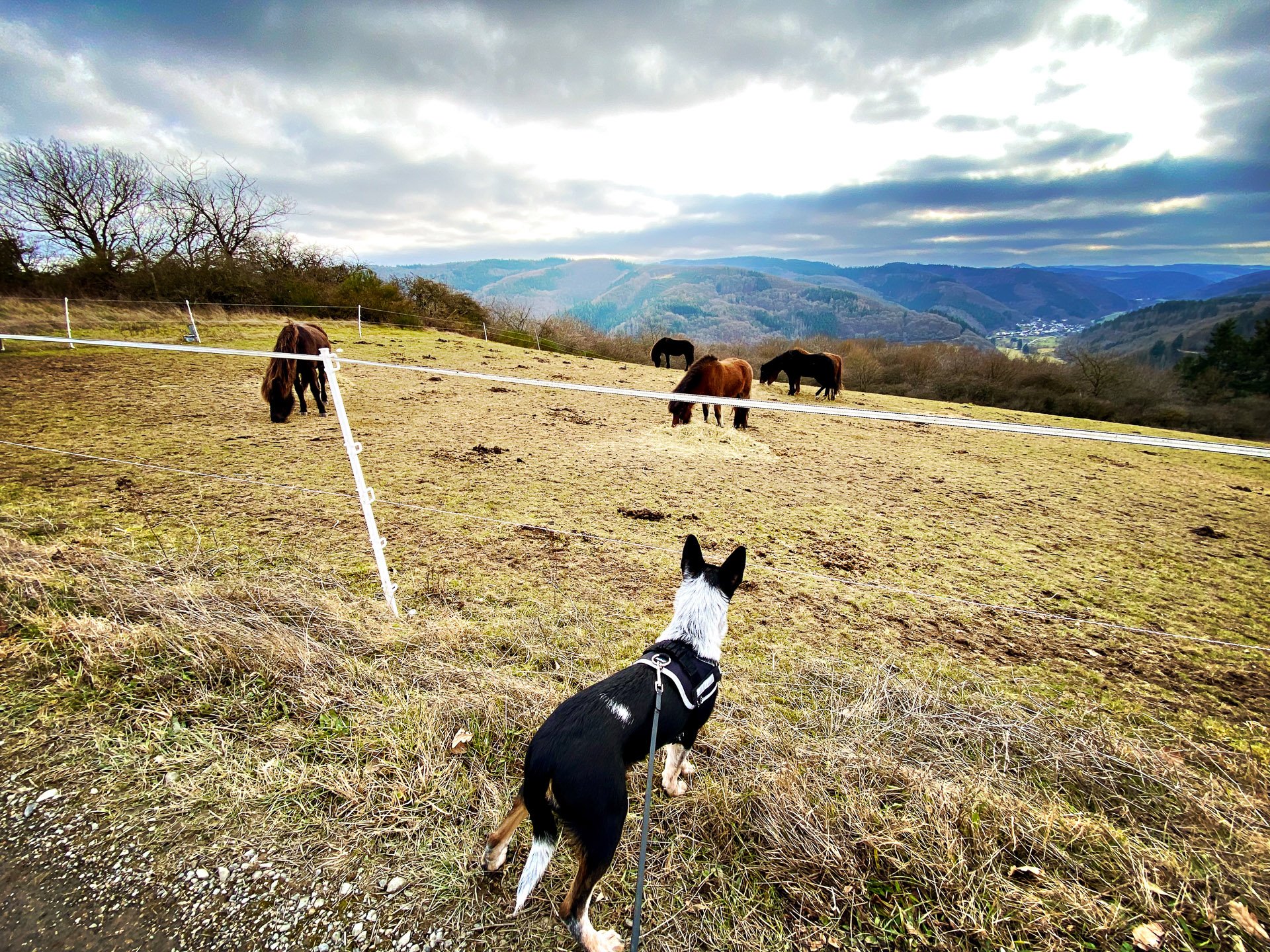 26-02-07bis11_HipstamaticPhoto-792327086.189650