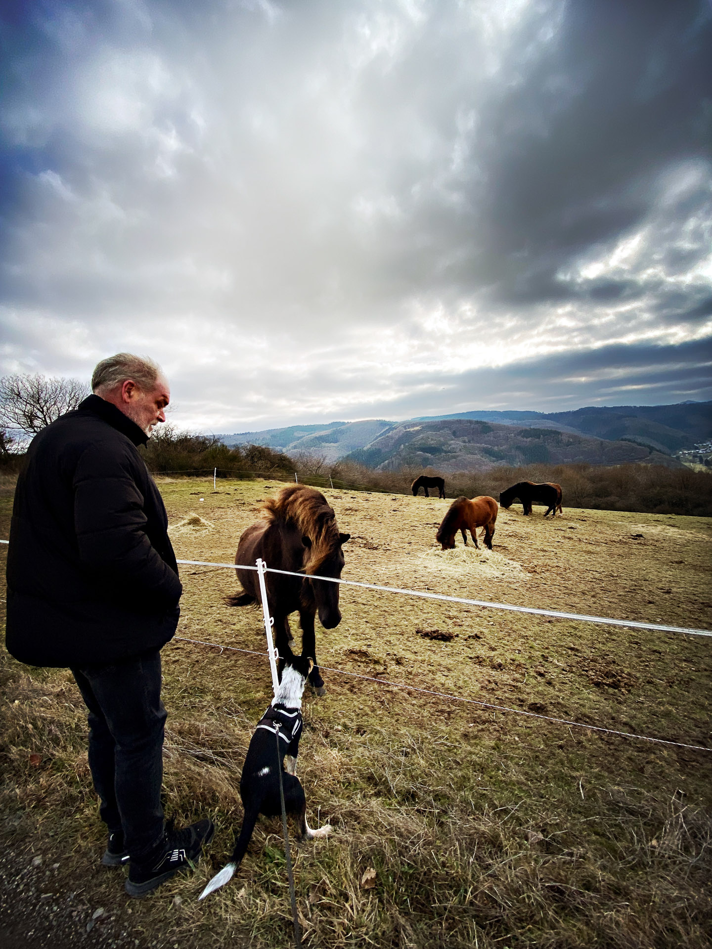 26-02-07bis11_HipstamaticPhoto-792327099.506917