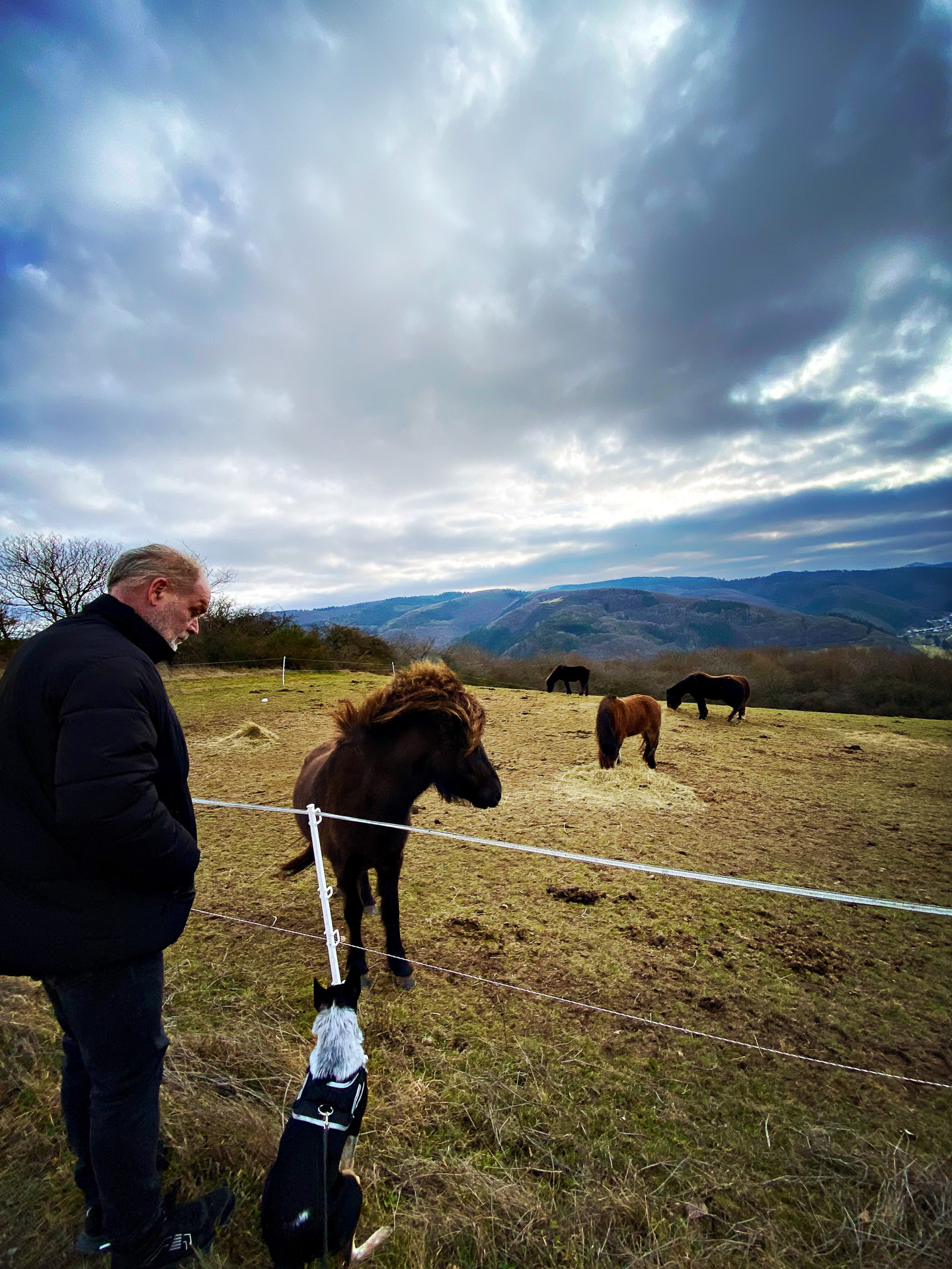 26-02-07bis11_HipstamaticPhoto-792327106.433375