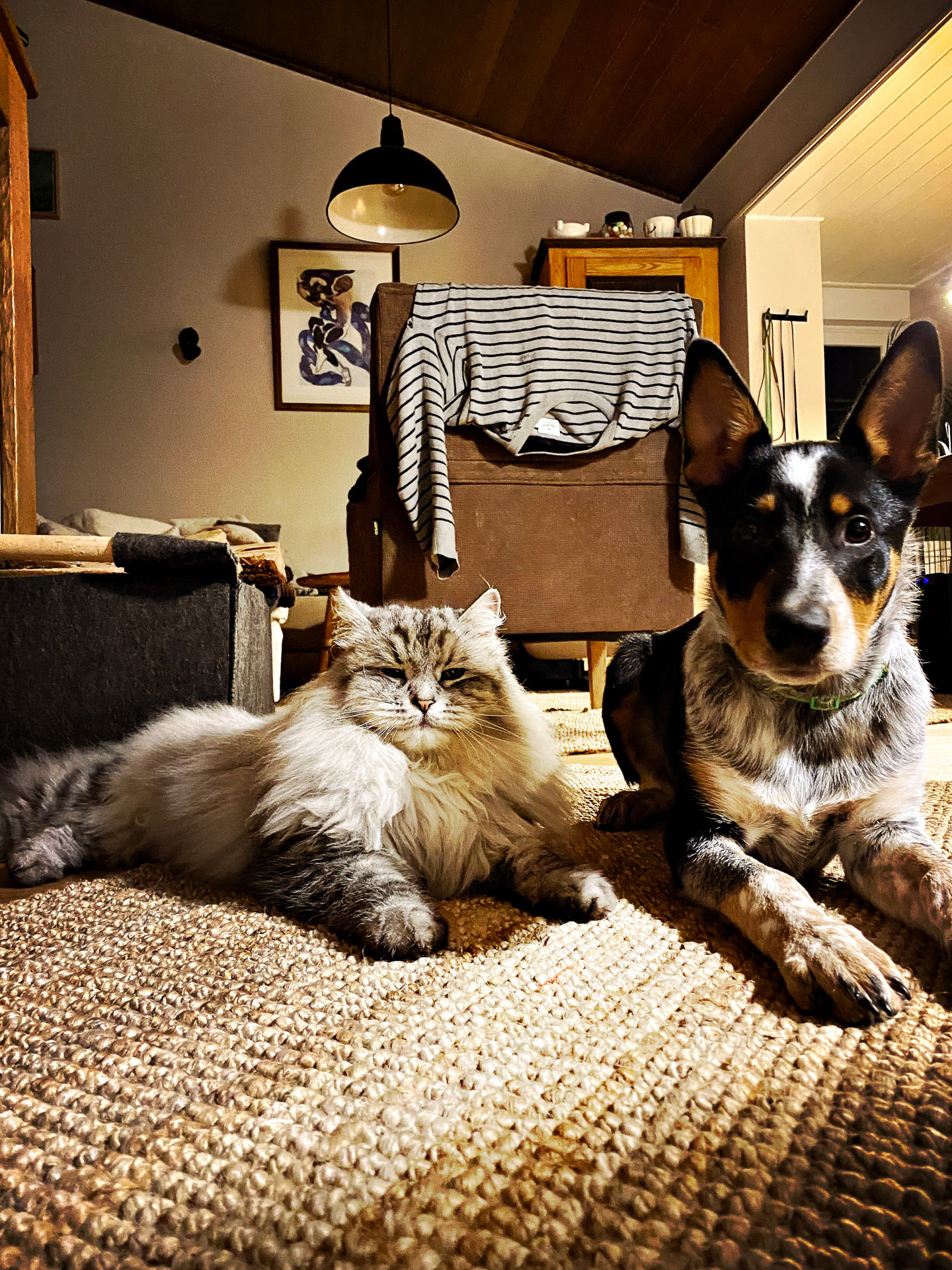 26-02-07bis11_HipstamaticPhoto-792447609.288997