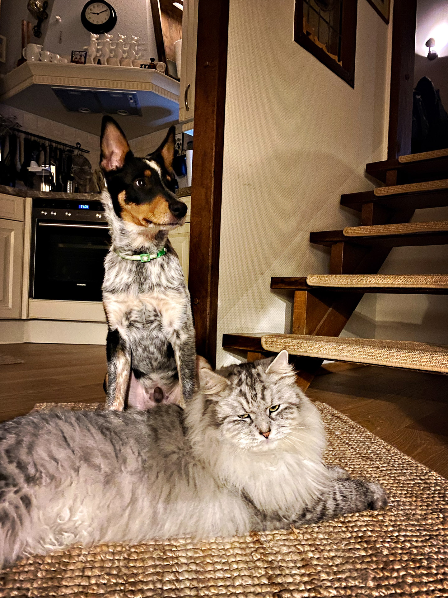 26-02-07bis11_HipstamaticPhoto-792447649.032749