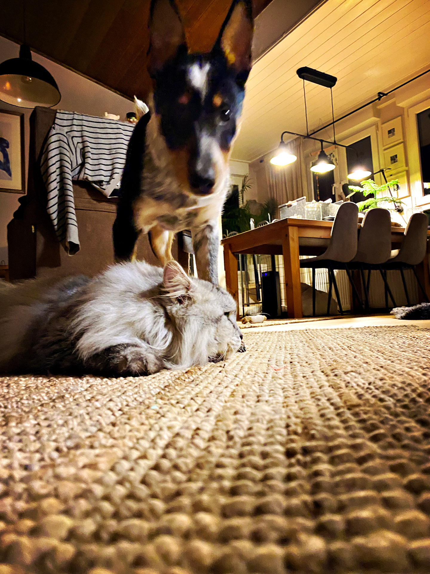 26-02-07bis11_HipstamaticPhoto-792447664.662374