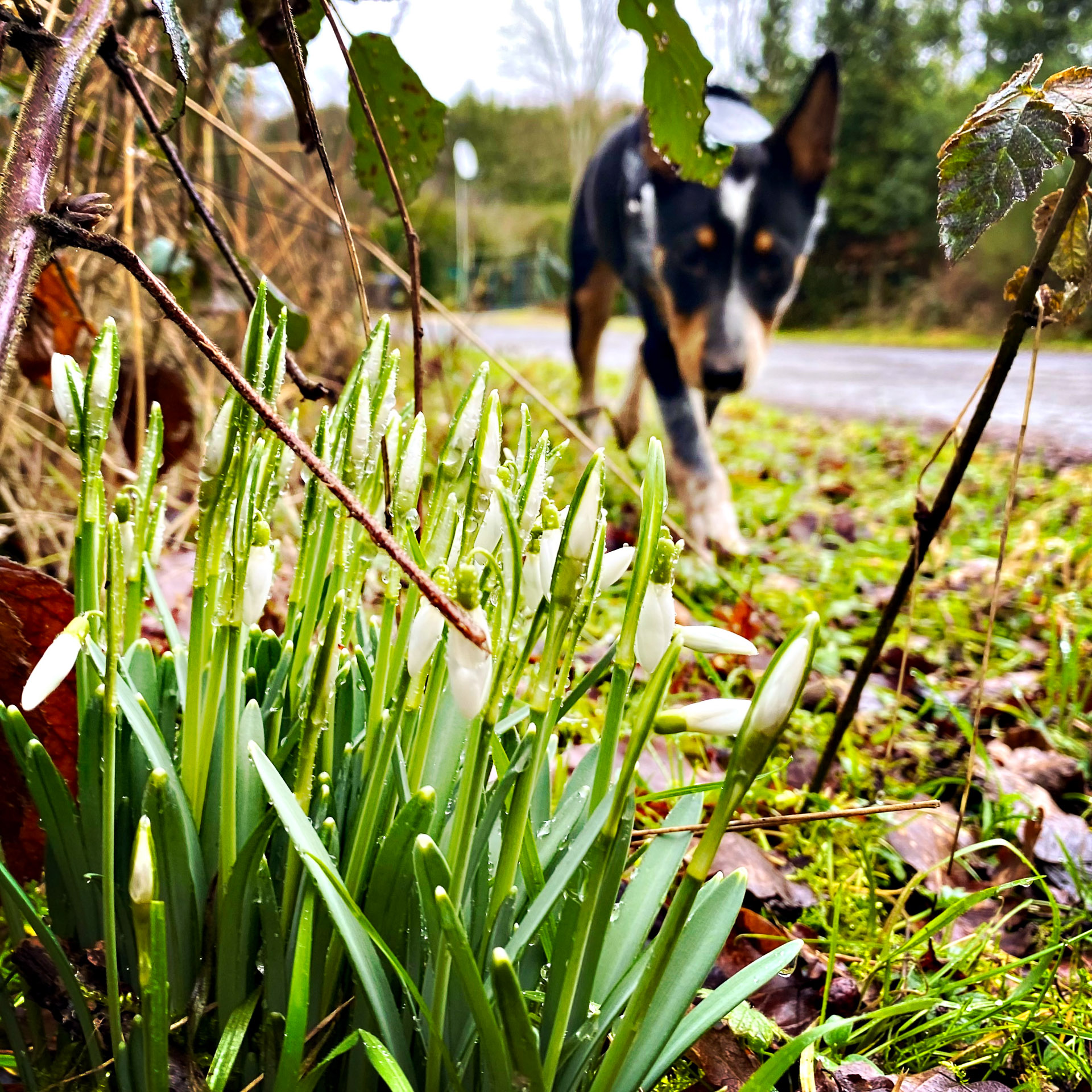 26-02-07bis11_HipstamaticPhoto-792497226.509506