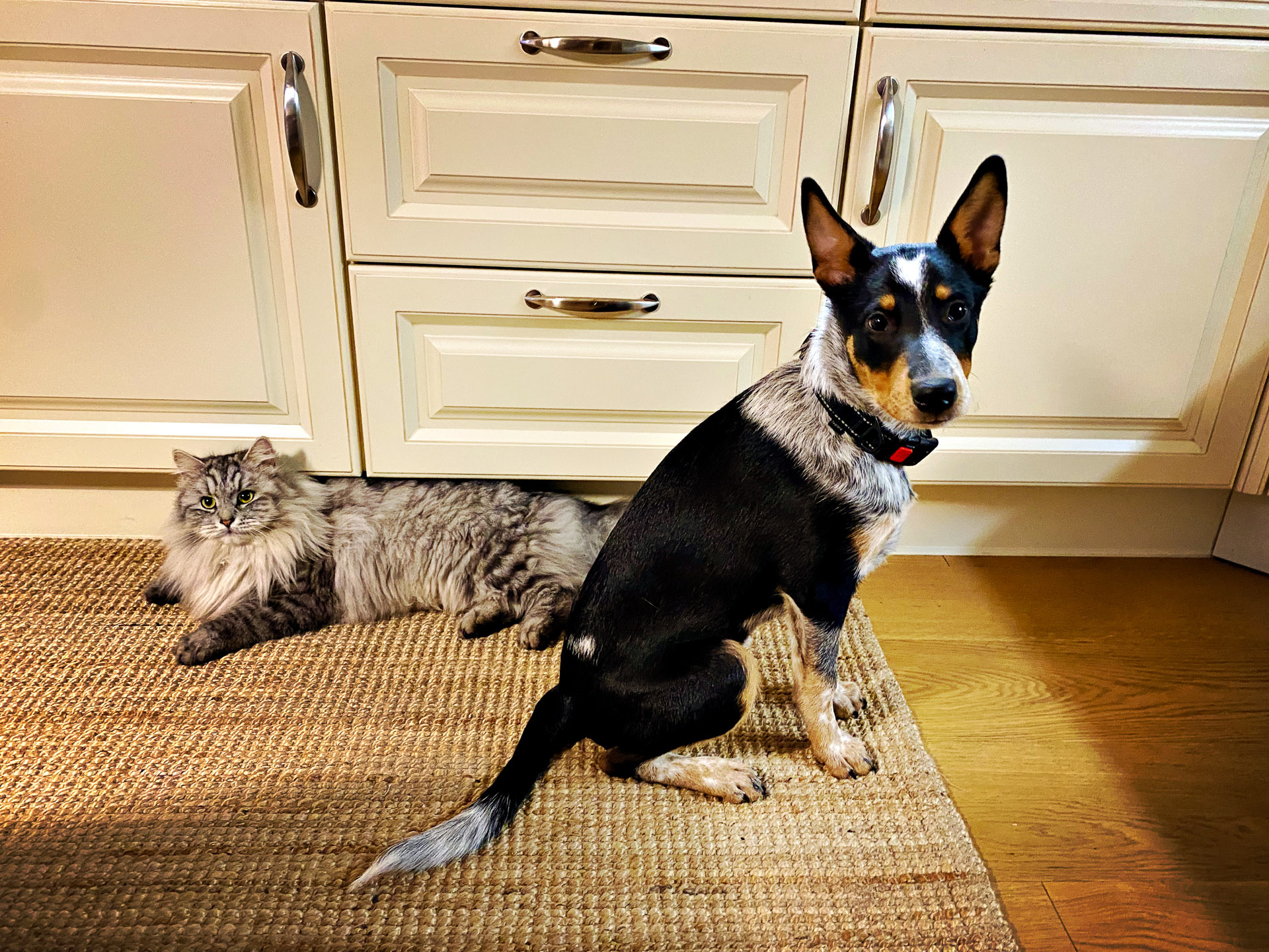 26-02-14bis15_HipstamaticPhoto-792752785.312877