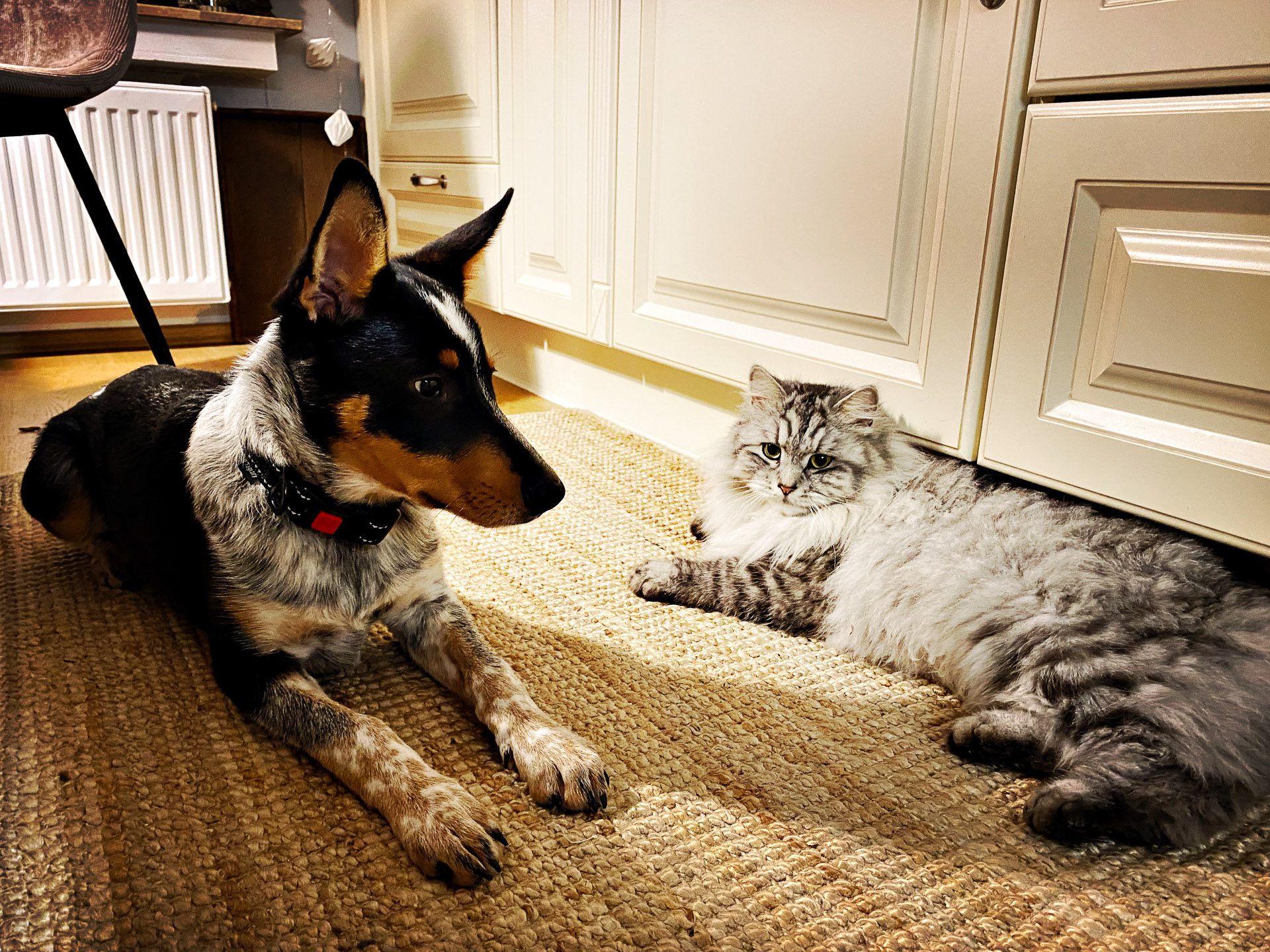 26-02-14bis15_HipstamaticPhoto-792752790.540365