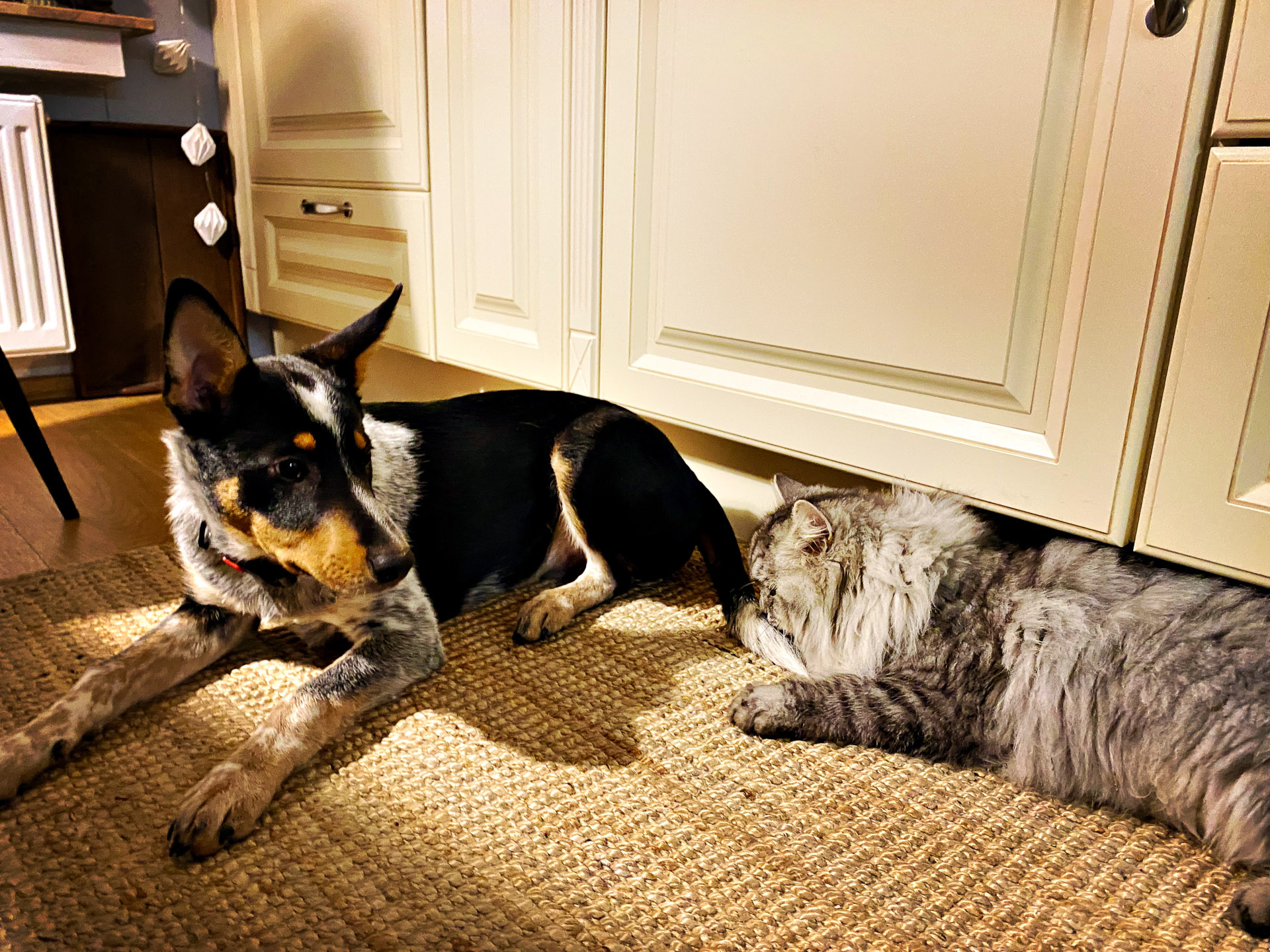 26-02-14bis15_HipstamaticPhoto-792752798.548562