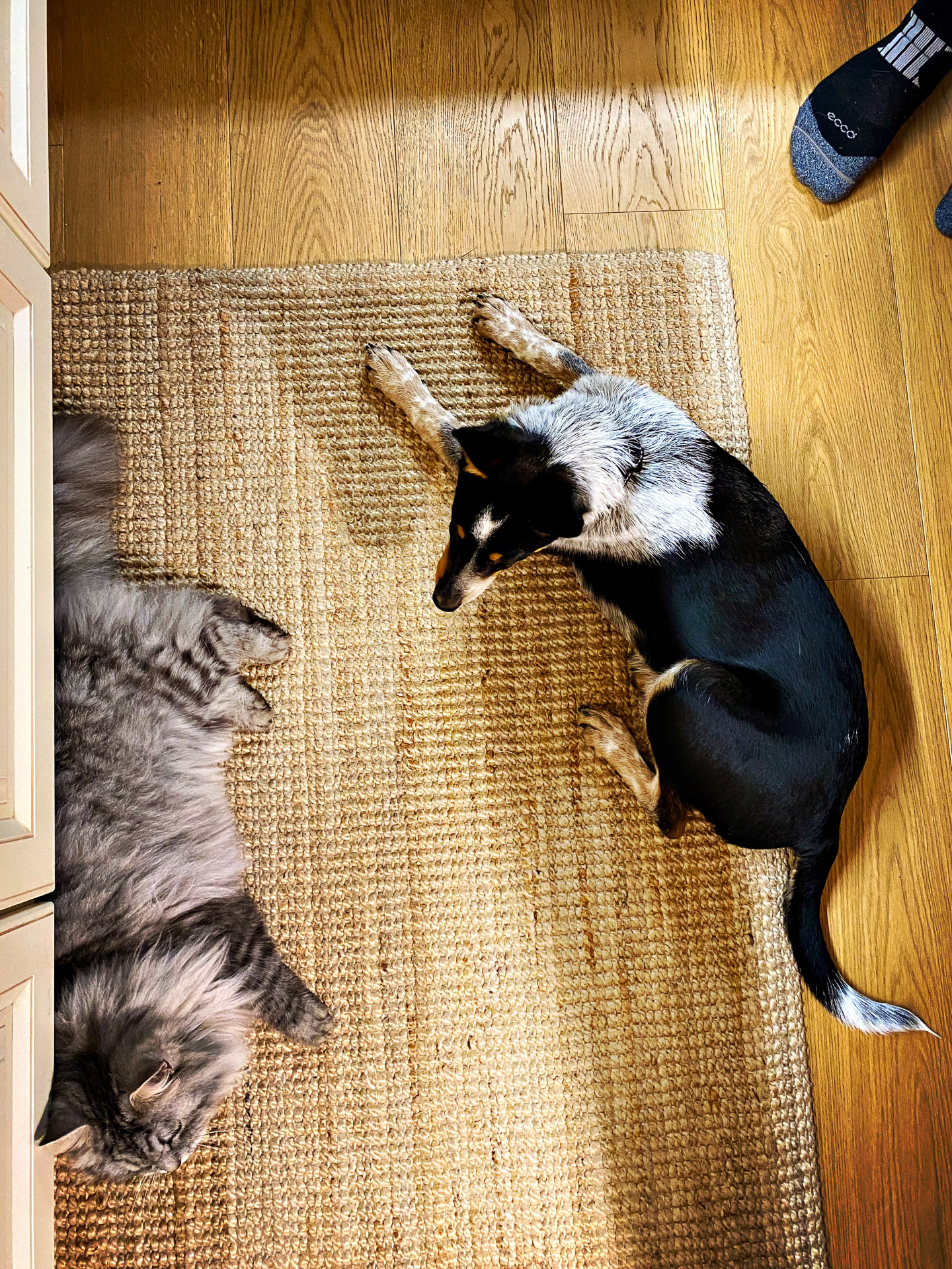 26-02-14bis15_HipstamaticPhoto-792752805.143730