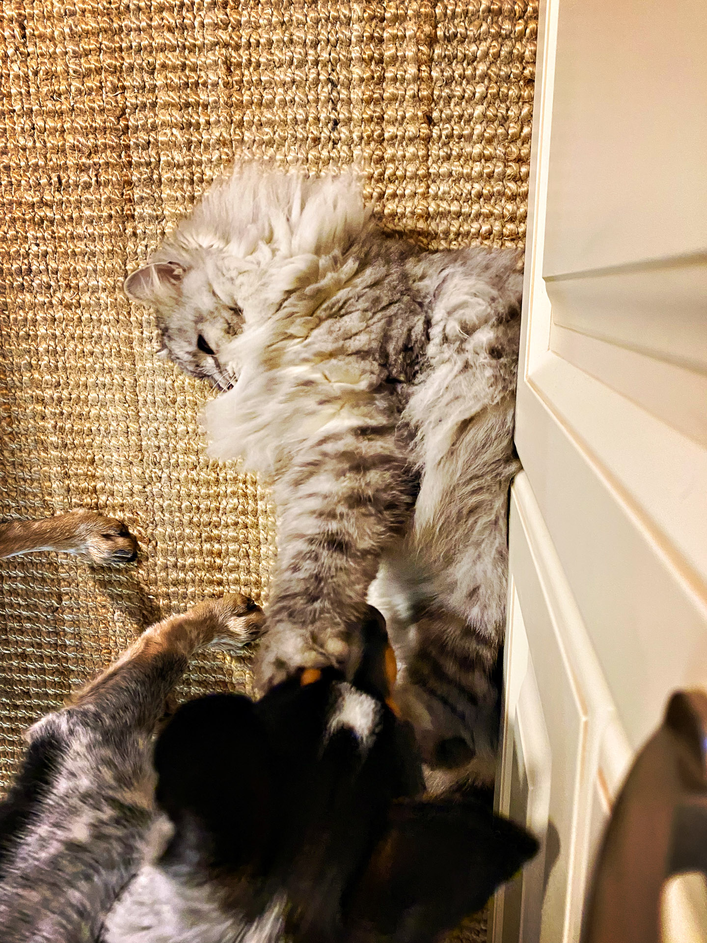 26-02-14bis15_HipstamaticPhoto-792752811.952537