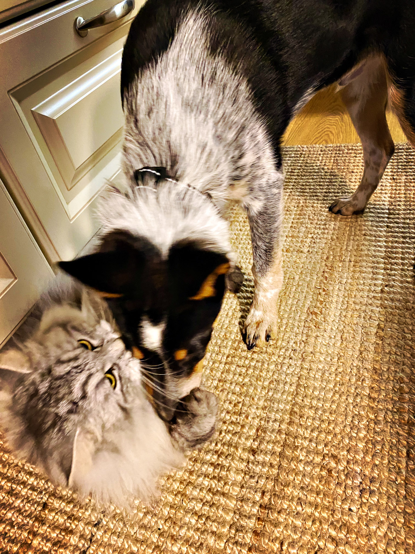 26-02-14bis15_HipstamaticPhoto-792752819.084632