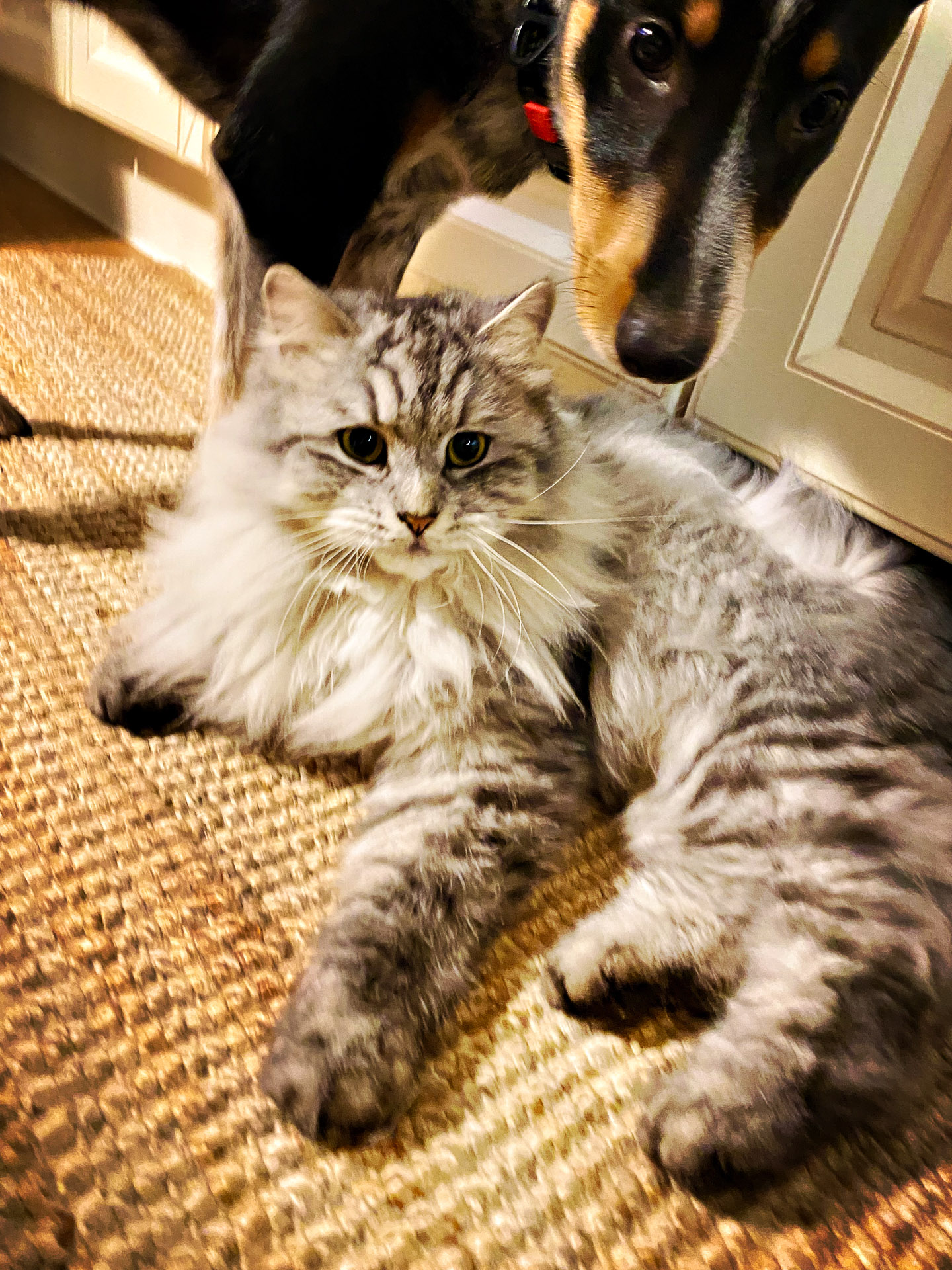 26-02-14bis15_HipstamaticPhoto-792752826.316251