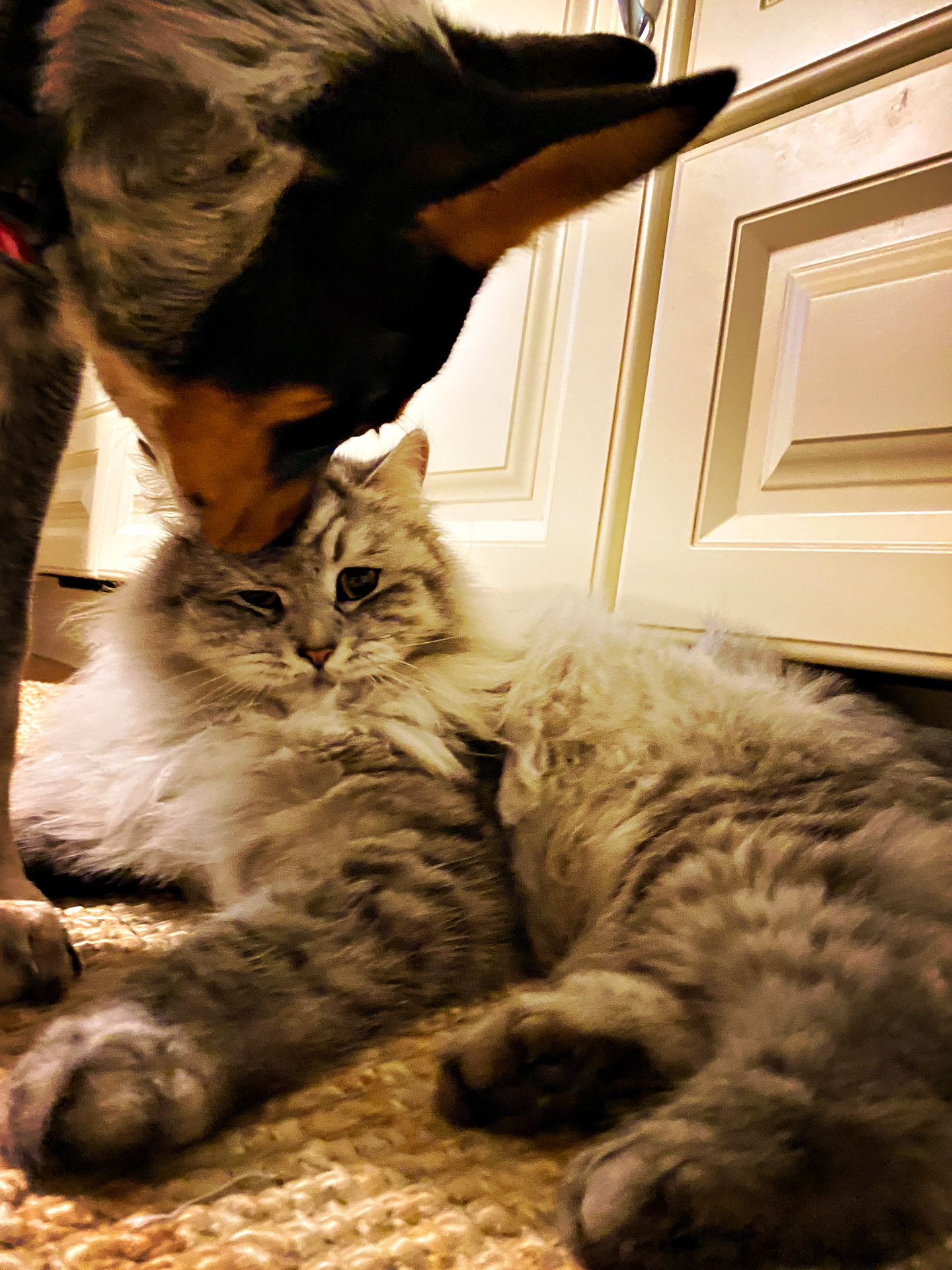 26-02-14bis15_HipstamaticPhoto-792752833.210972