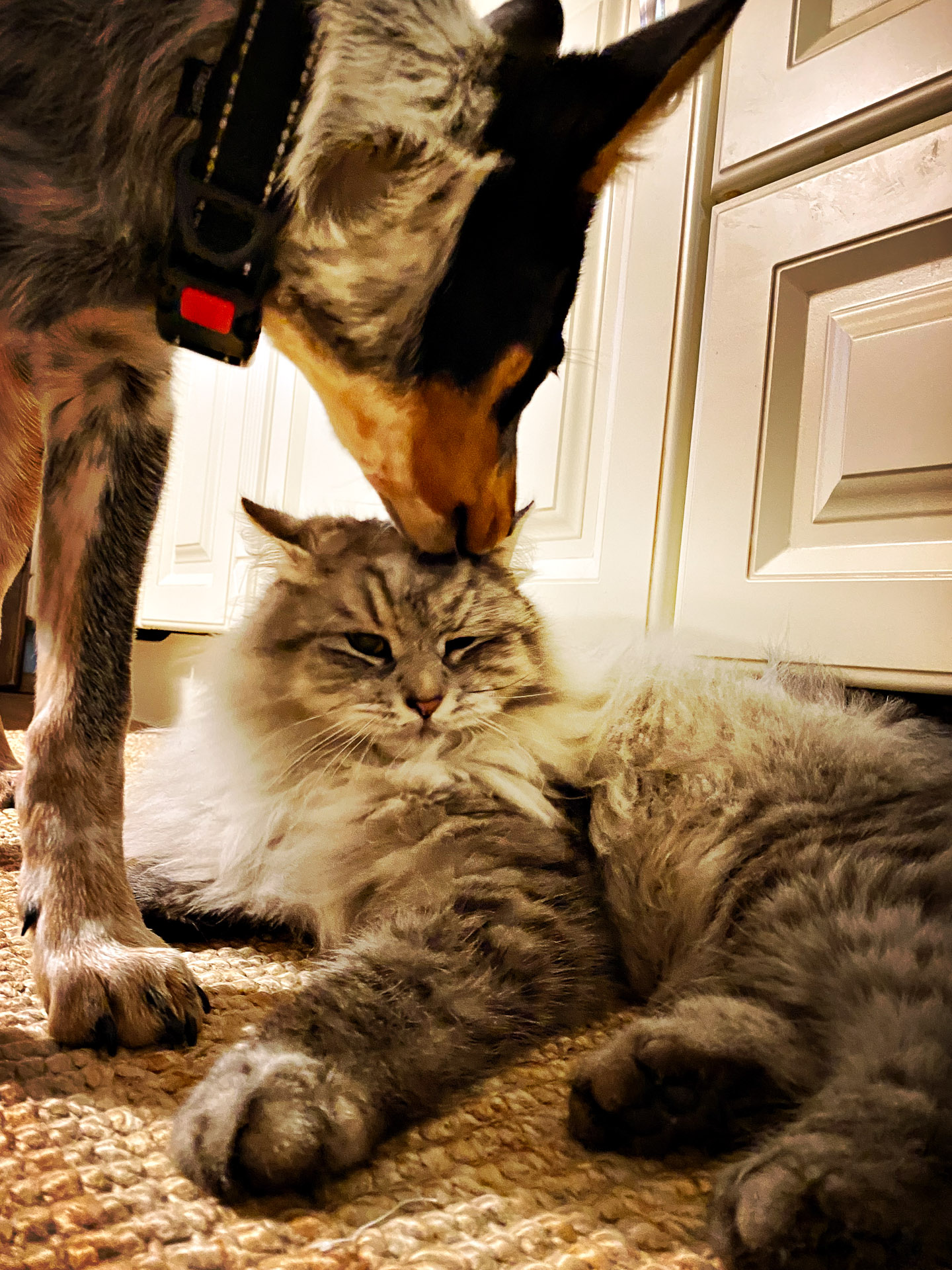 26-02-14bis15_HipstamaticPhoto-792752850.395052