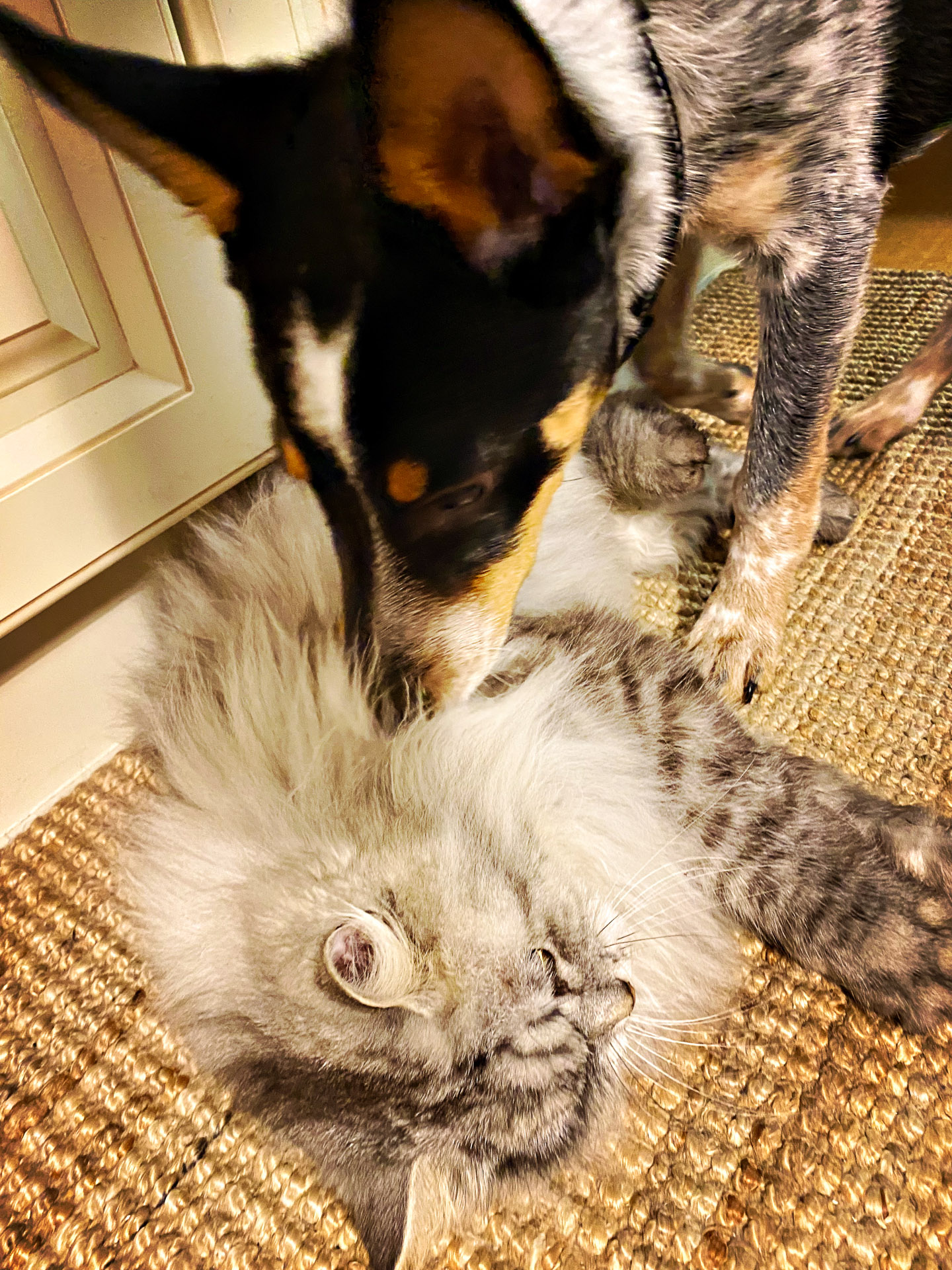 26-02-14bis15_HipstamaticPhoto-792752857.173256