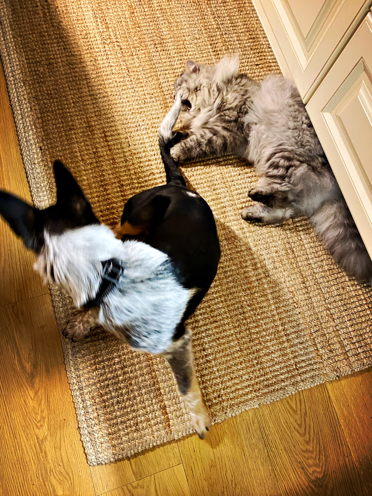 26-02-14bis15_HipstamaticPhoto-792752868.309266