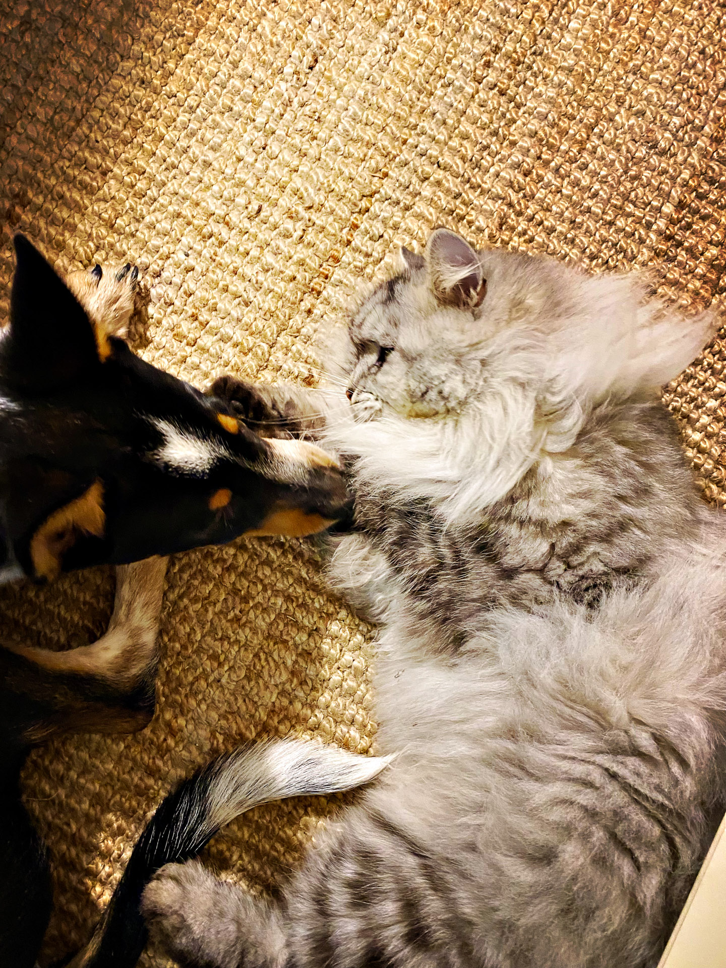 26-02-14bis15_HipstamaticPhoto-792752876.831677