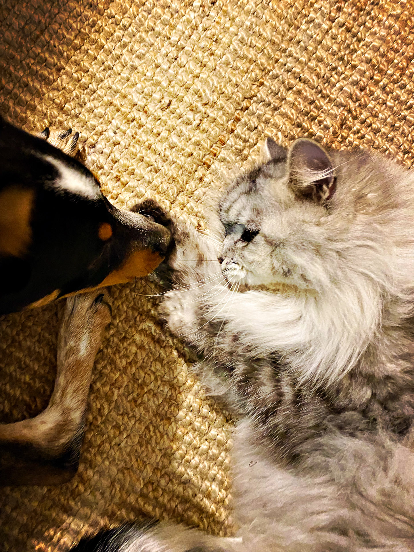 26-02-14bis15_HipstamaticPhoto-792752885.177223