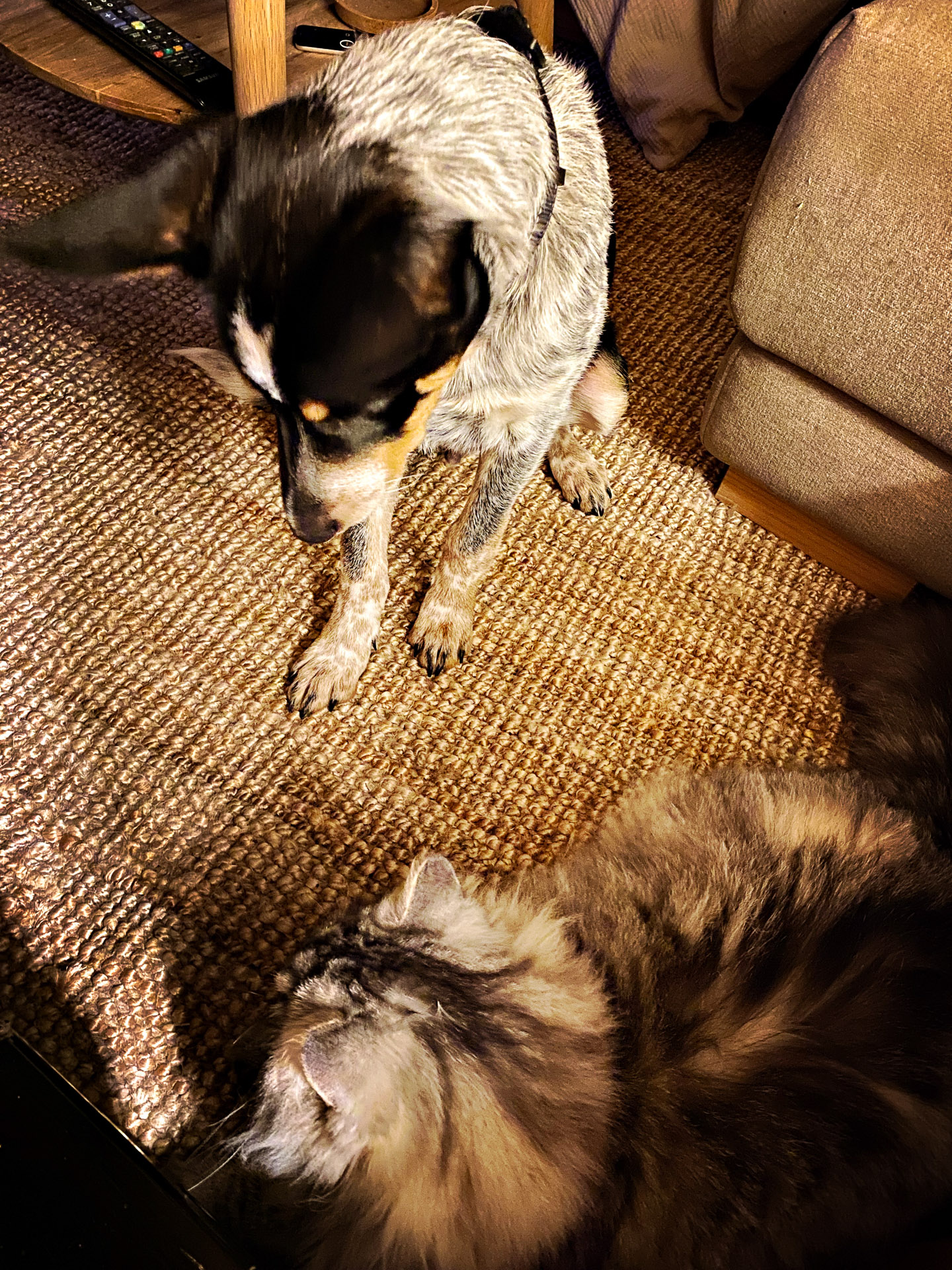 26-02-14bis15_HipstamaticPhoto-792836746.939467