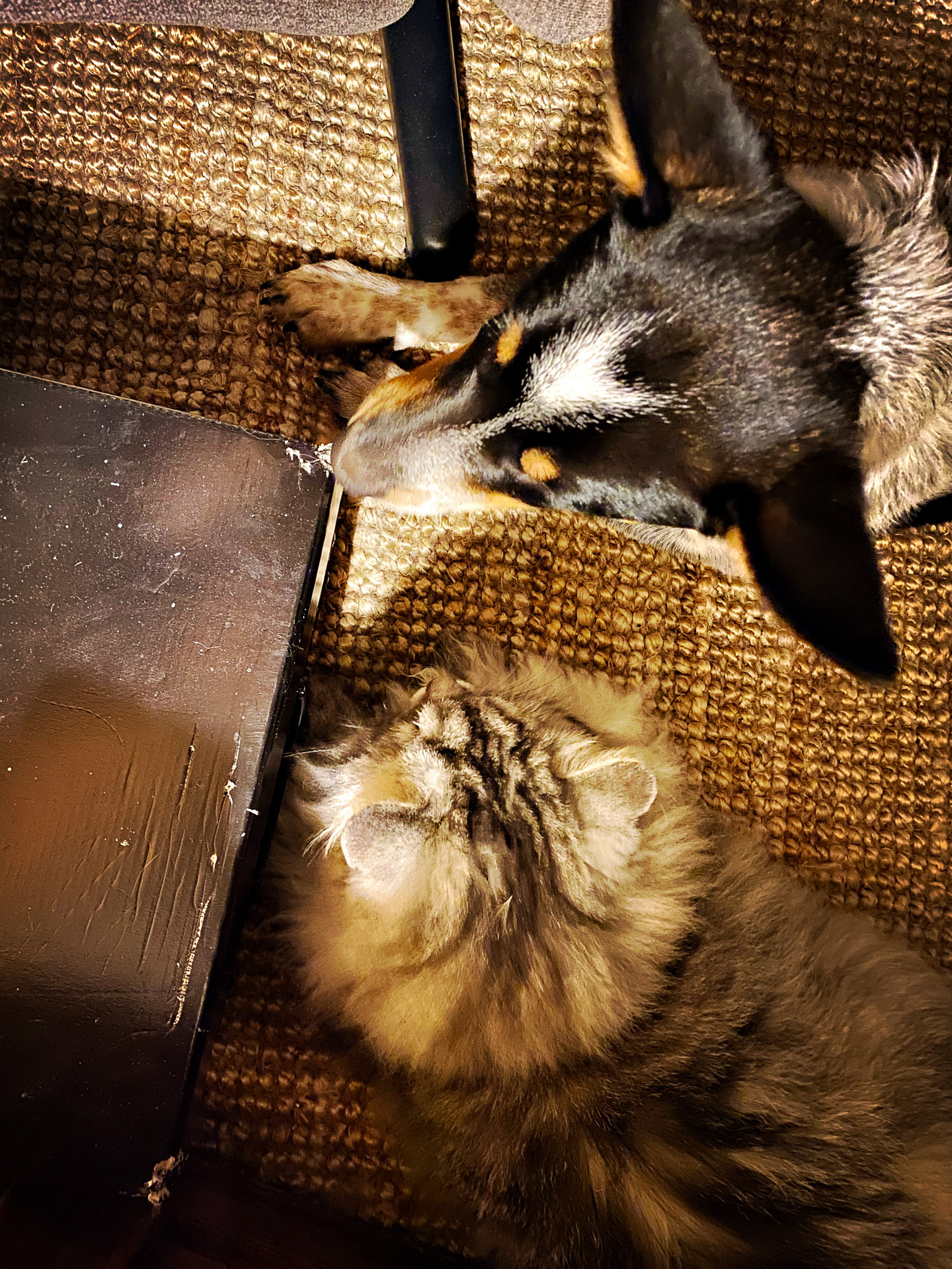 26-02-14bis15_HipstamaticPhoto-792836760.936024