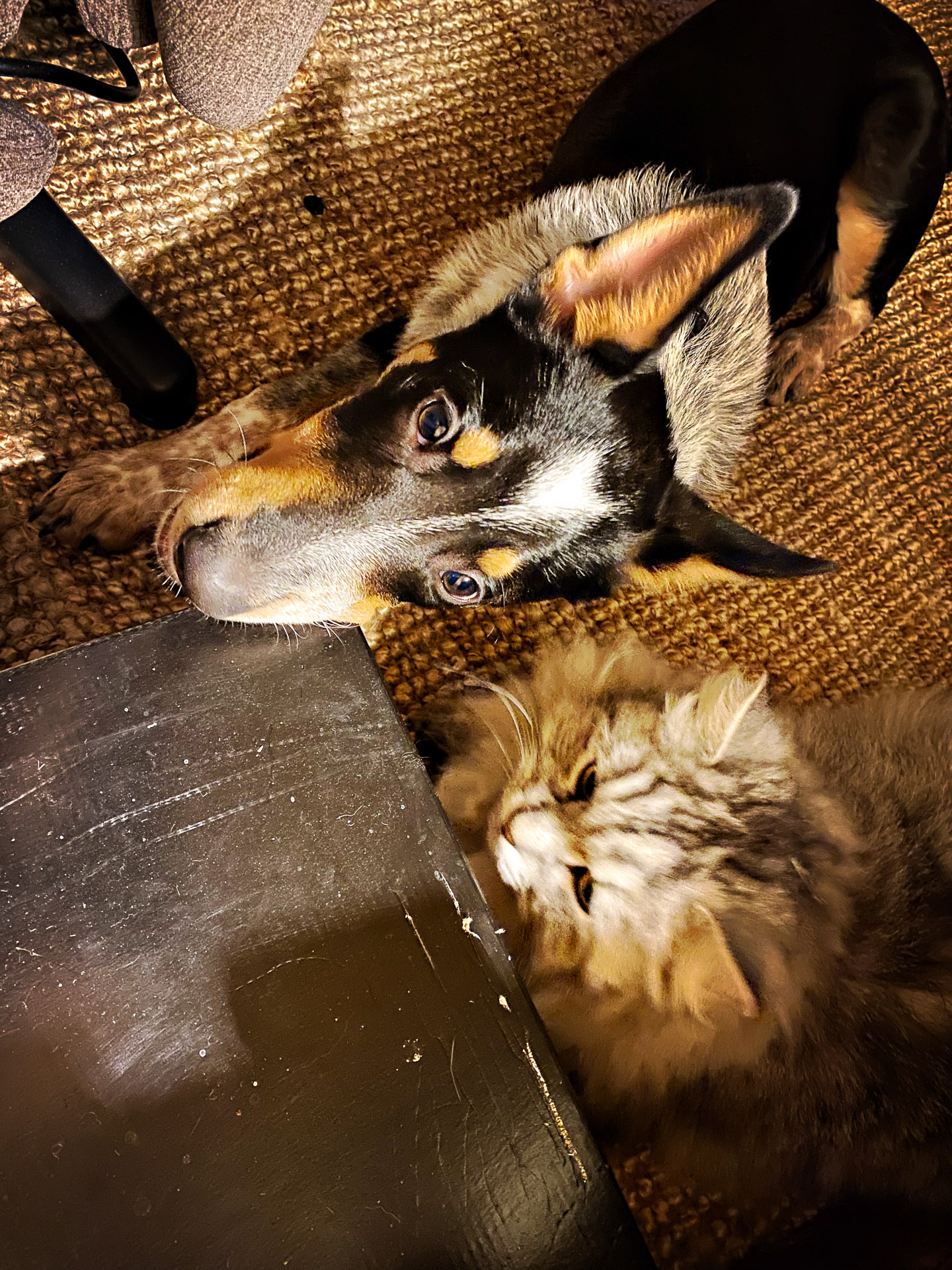 26-02-14bis15_HipstamaticPhoto-792836768.980007