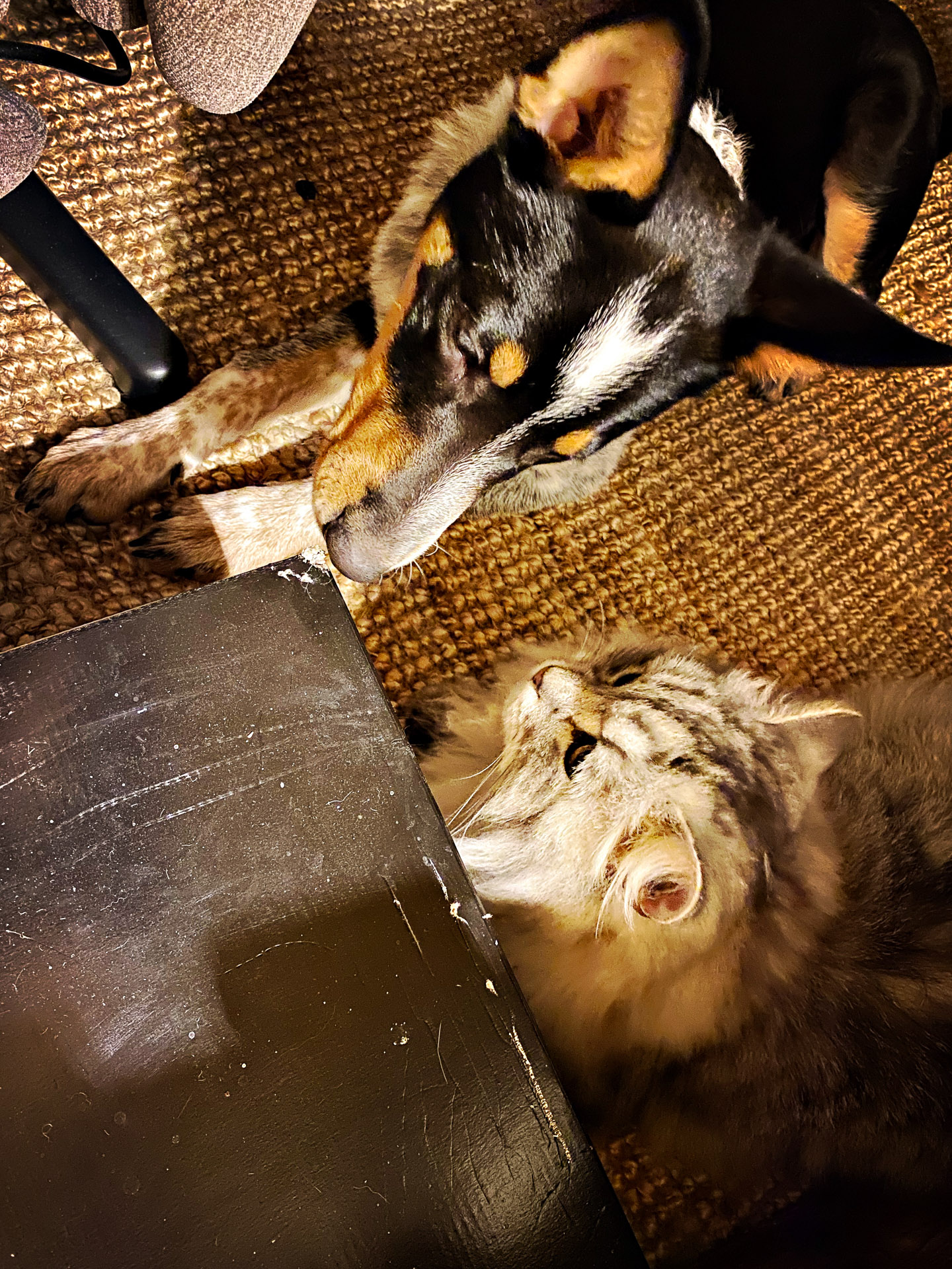 26-02-14bis15_HipstamaticPhoto-792836793.457396