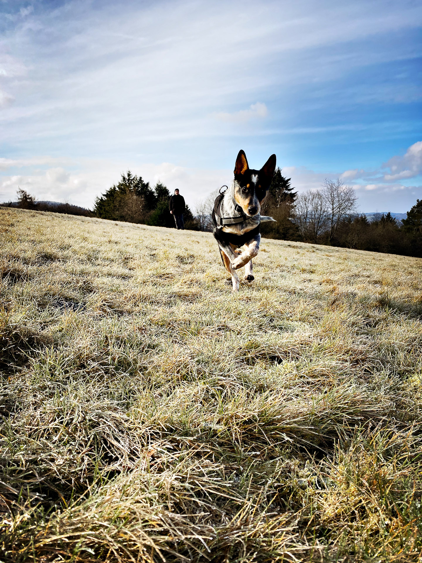 26-02-14bis15_HipstamaticPhoto-792848296.963890