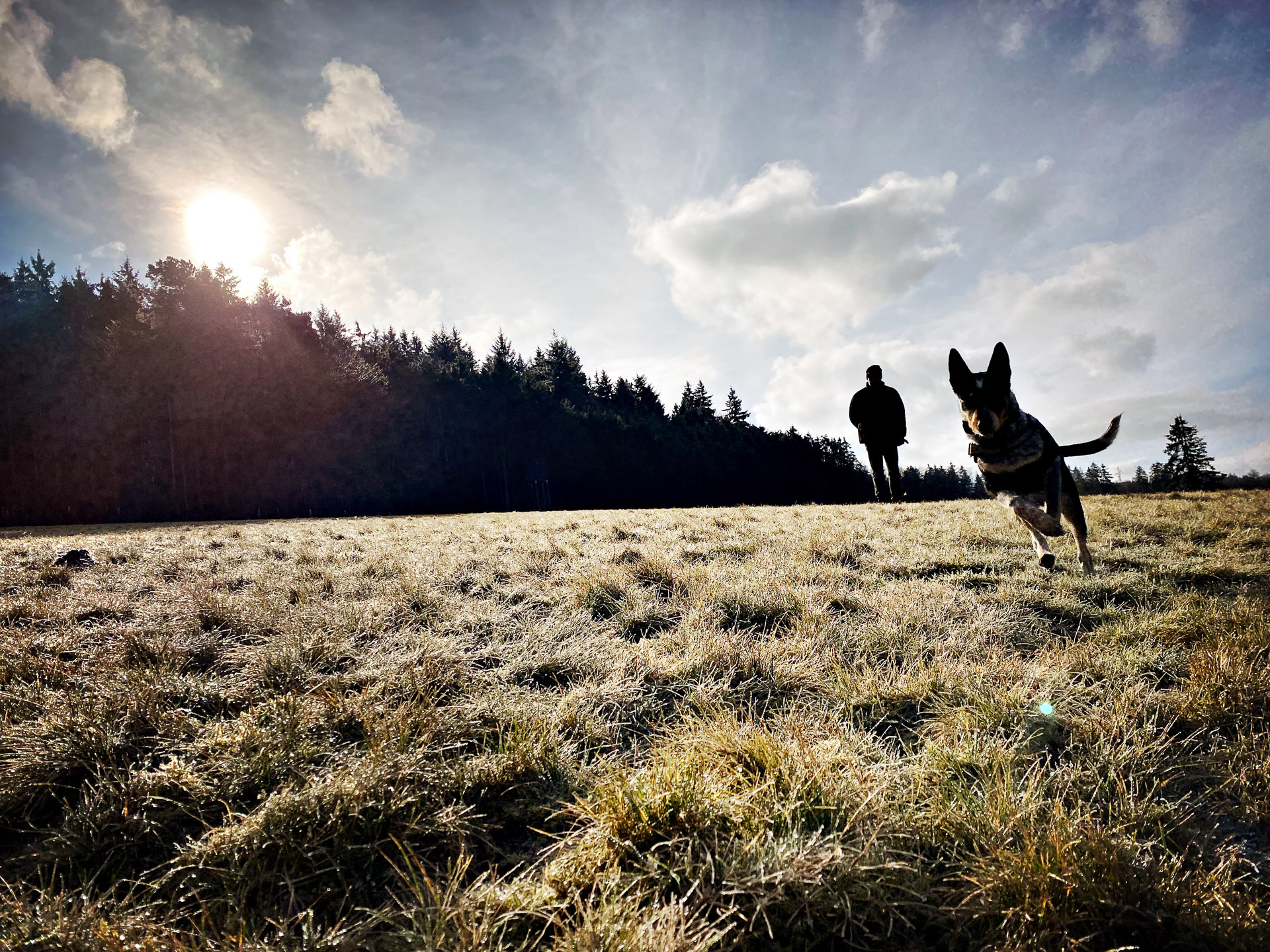 26-02-14bis15_HipstamaticPhoto-792848312.116594