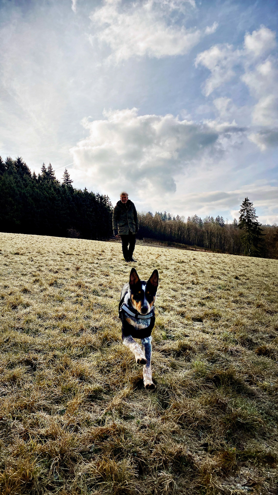 26-02-14bis15_HipstamaticPhoto-792848329.899832