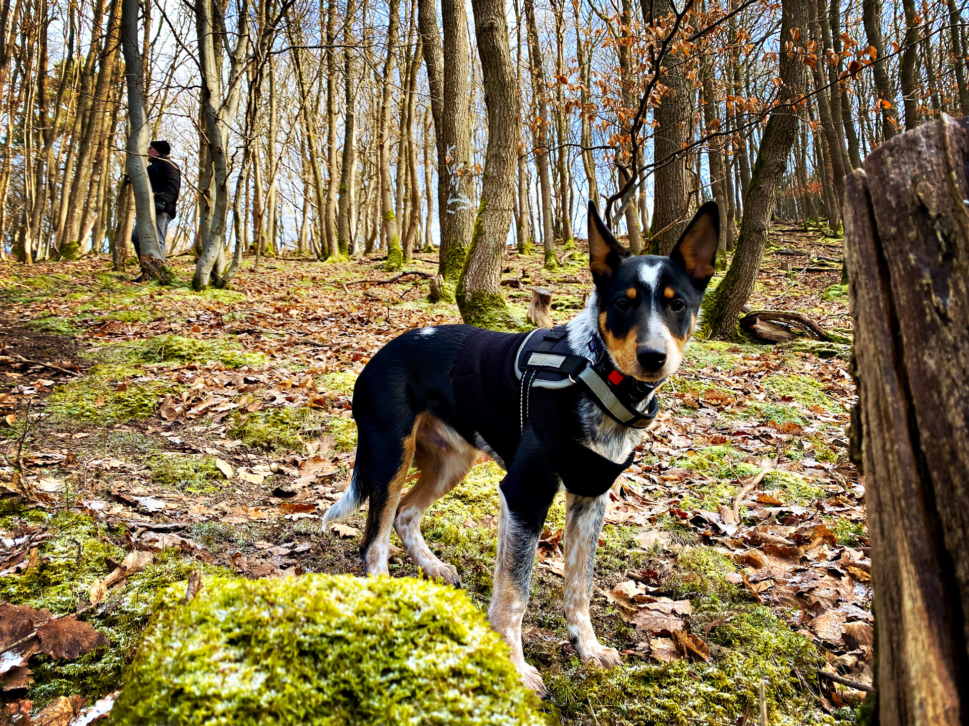 26-02-14bis15_HipstamaticPhoto-792848363.796108