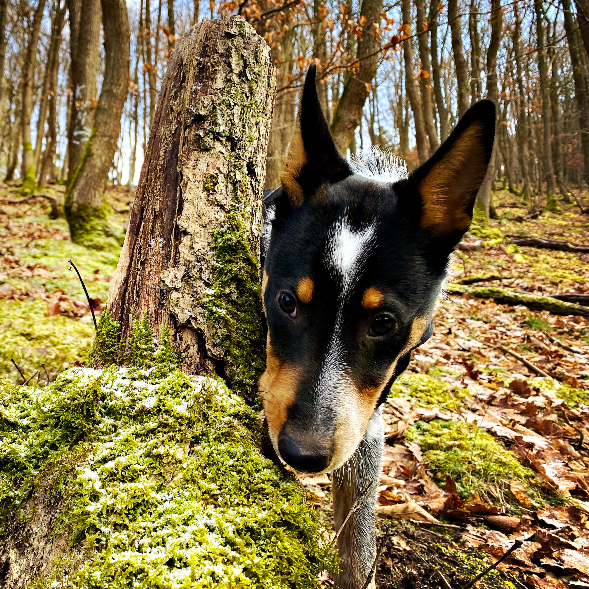 26-02-14bis15_HipstamaticPhoto-792848370.695999