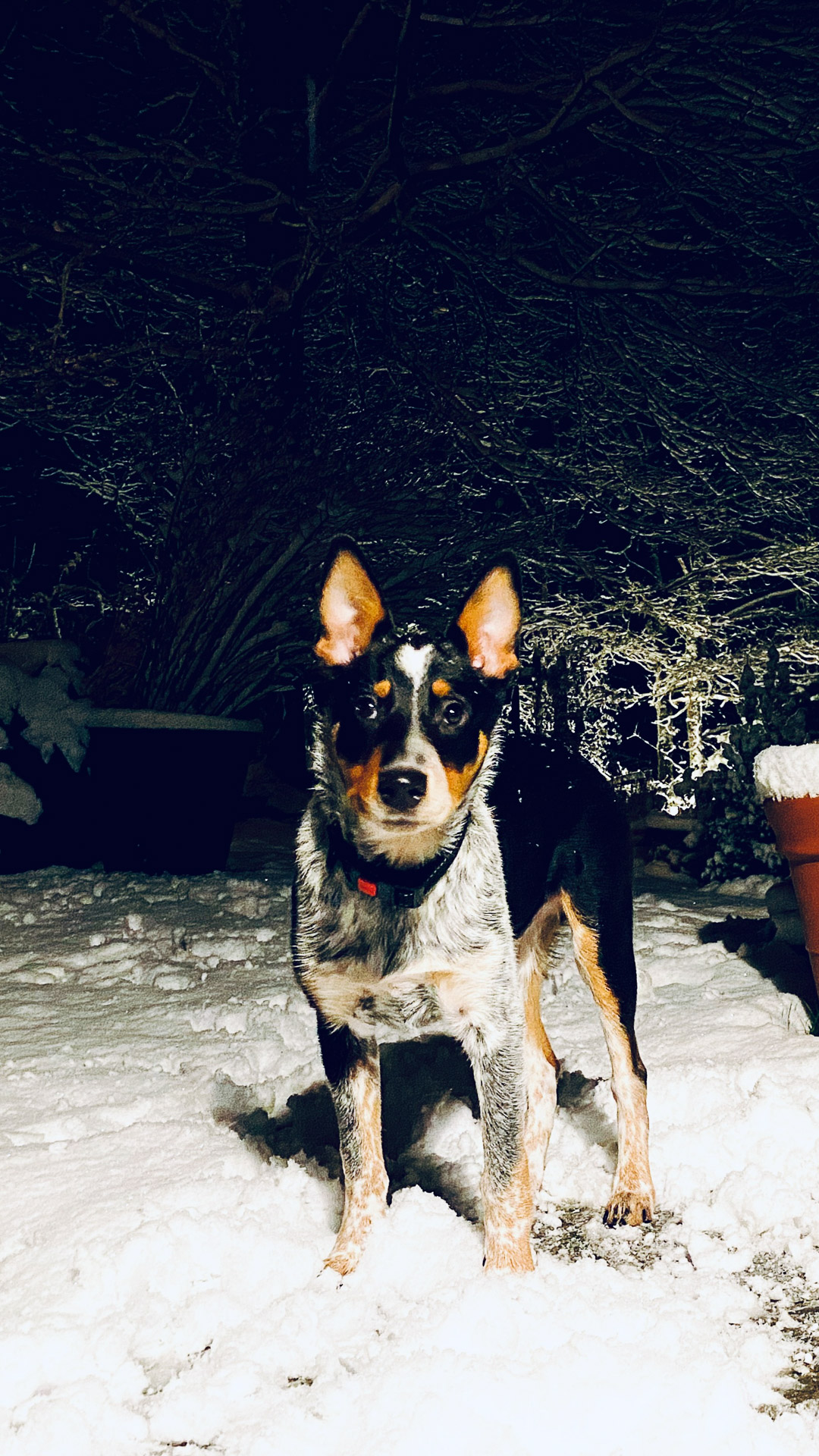 26-02-14bis15_HipstamaticPhoto-792878144.638326