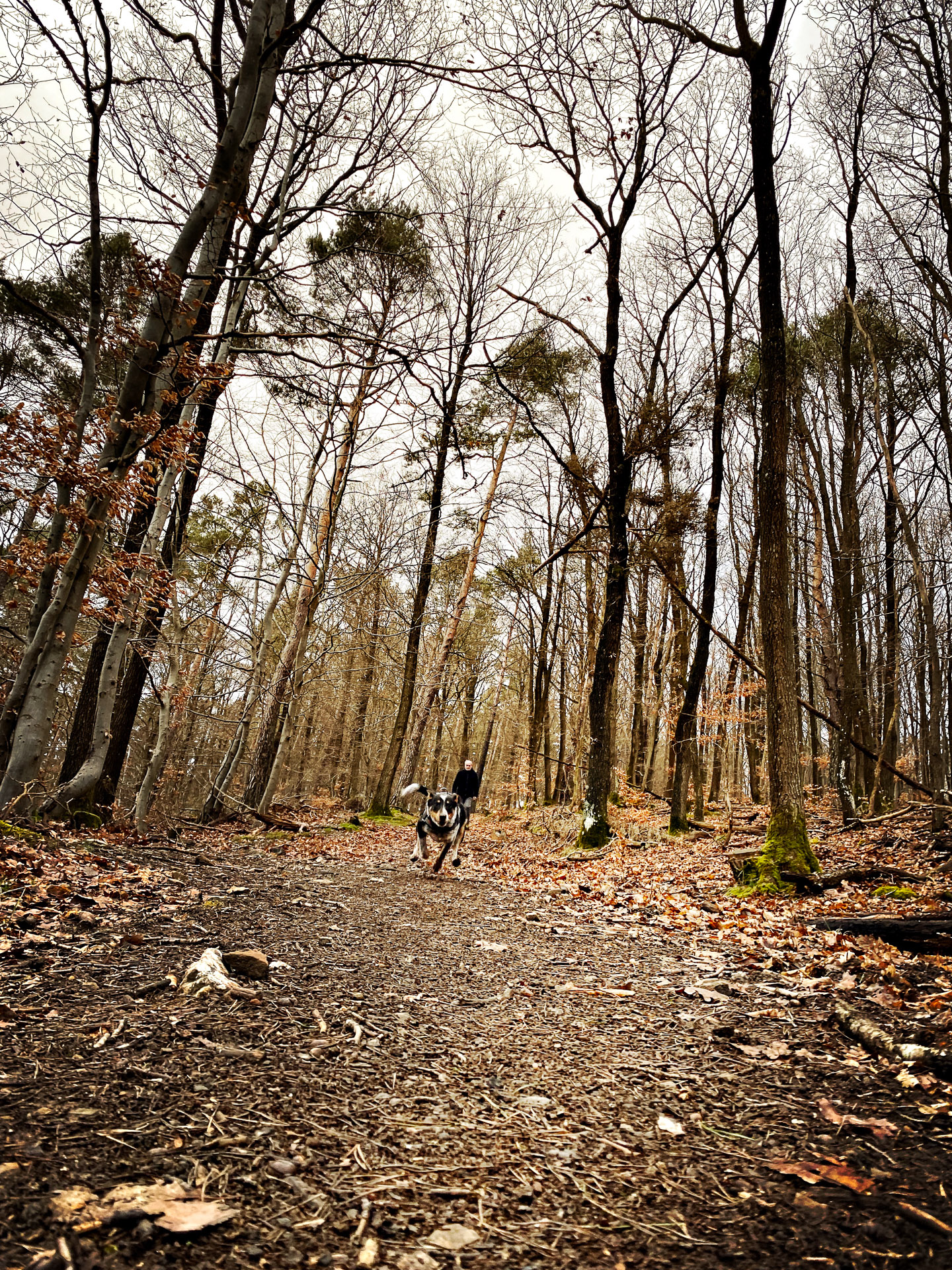 26-02-17_HipstamaticPhoto-793113752.108234