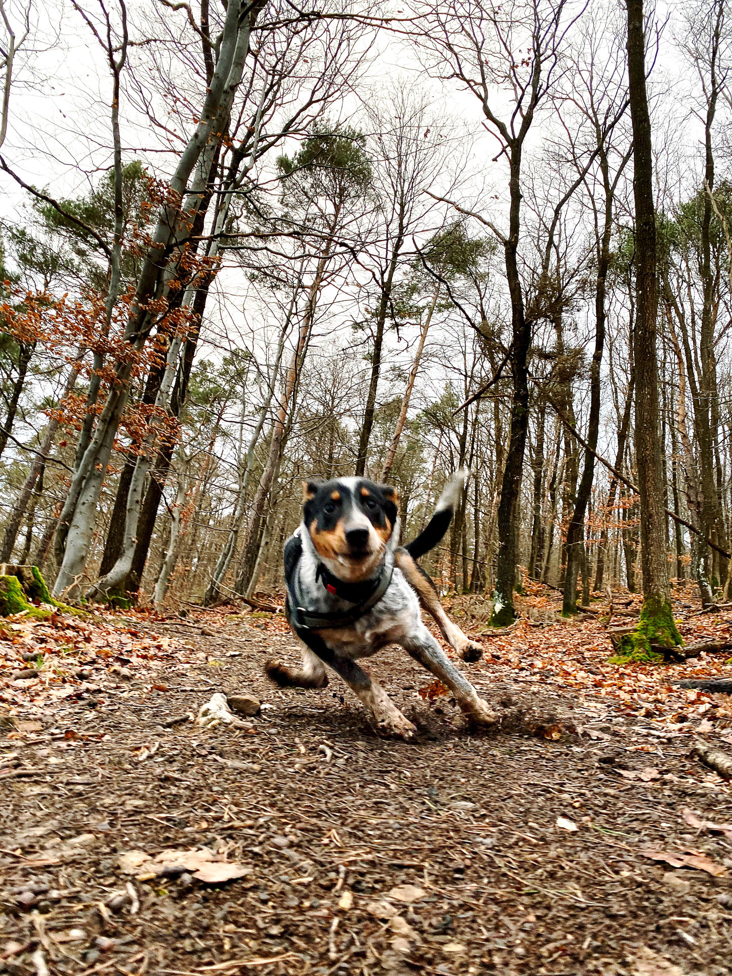 26-02-17_HipstamaticPhoto-793113768.453210