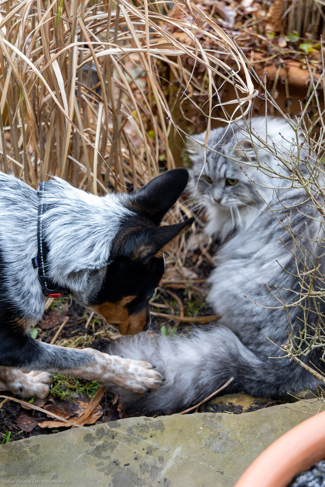 26-02-18_26-02-18_IMG_4058