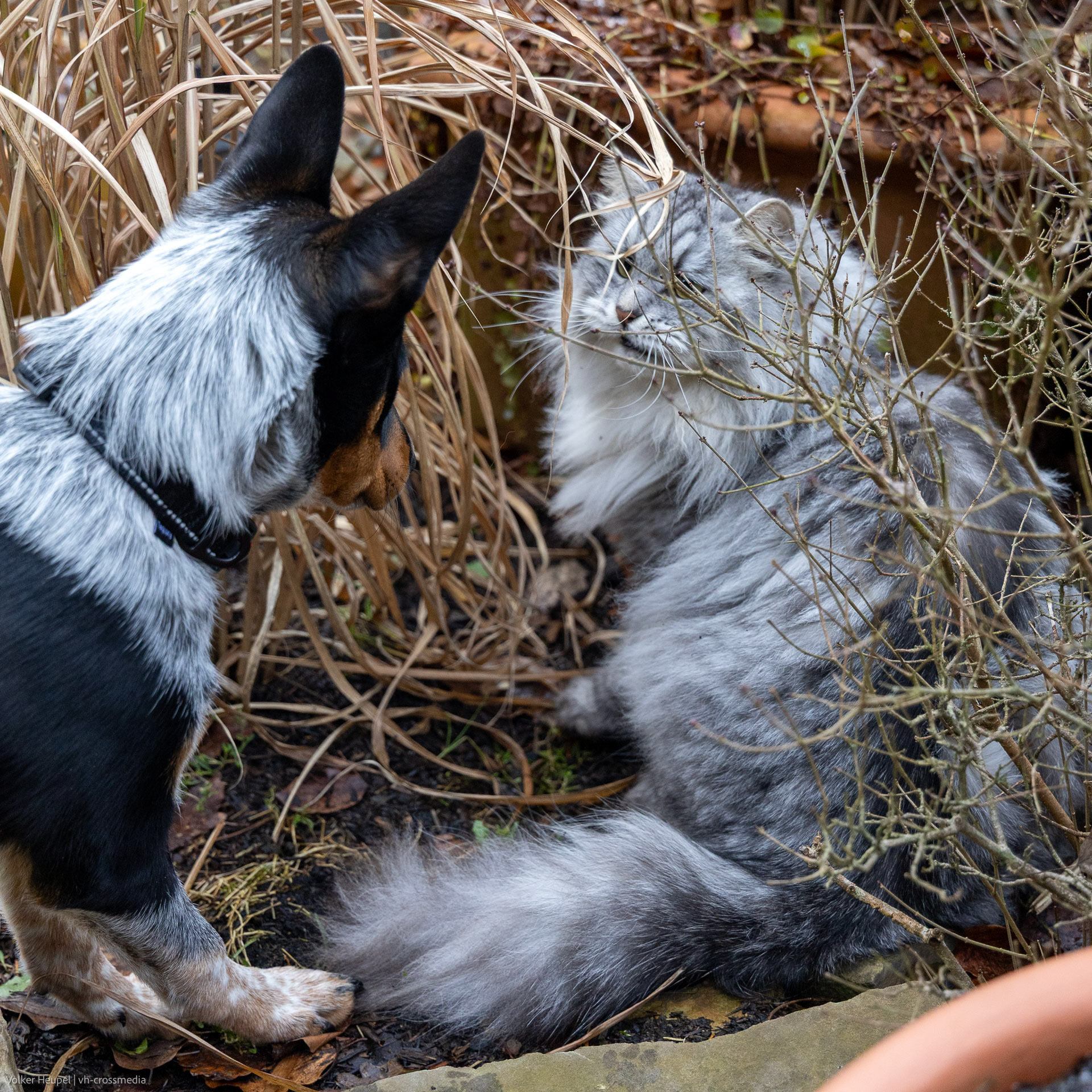 26-02-18_26-02-18_IMG_4061