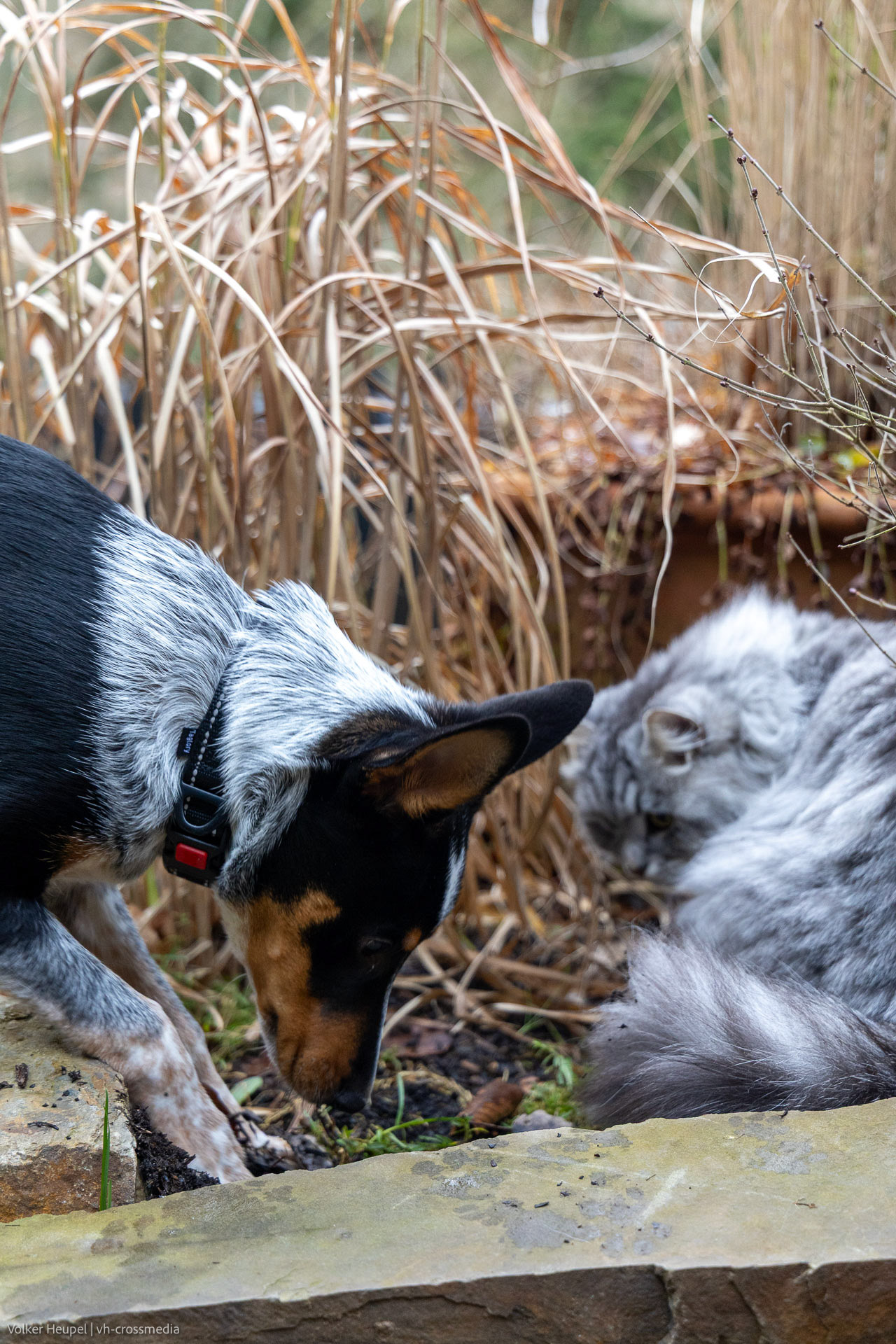 26-02-18_26-02-18_IMG_4071