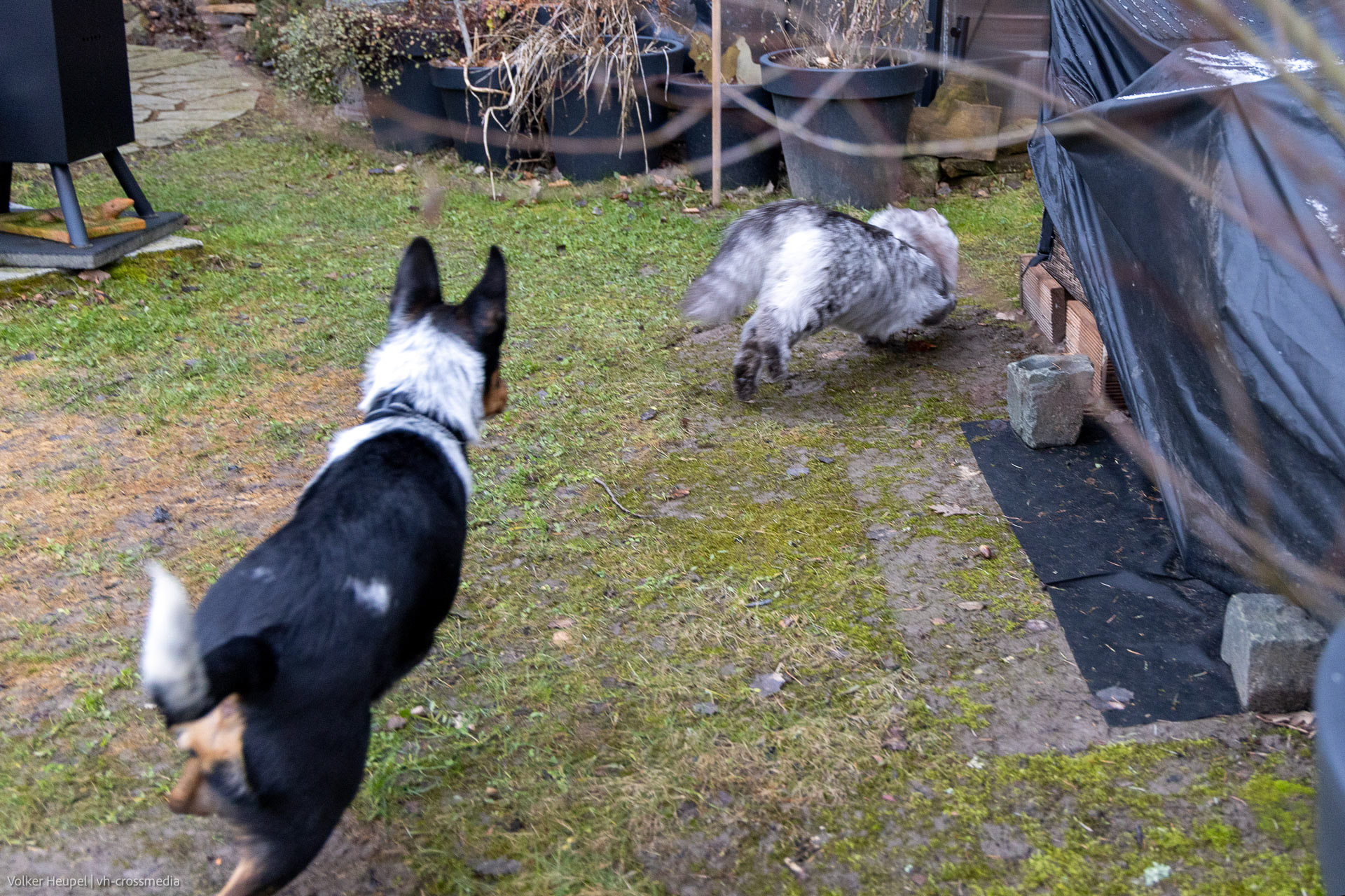 26-02-18_26-02-18_IMG_4081