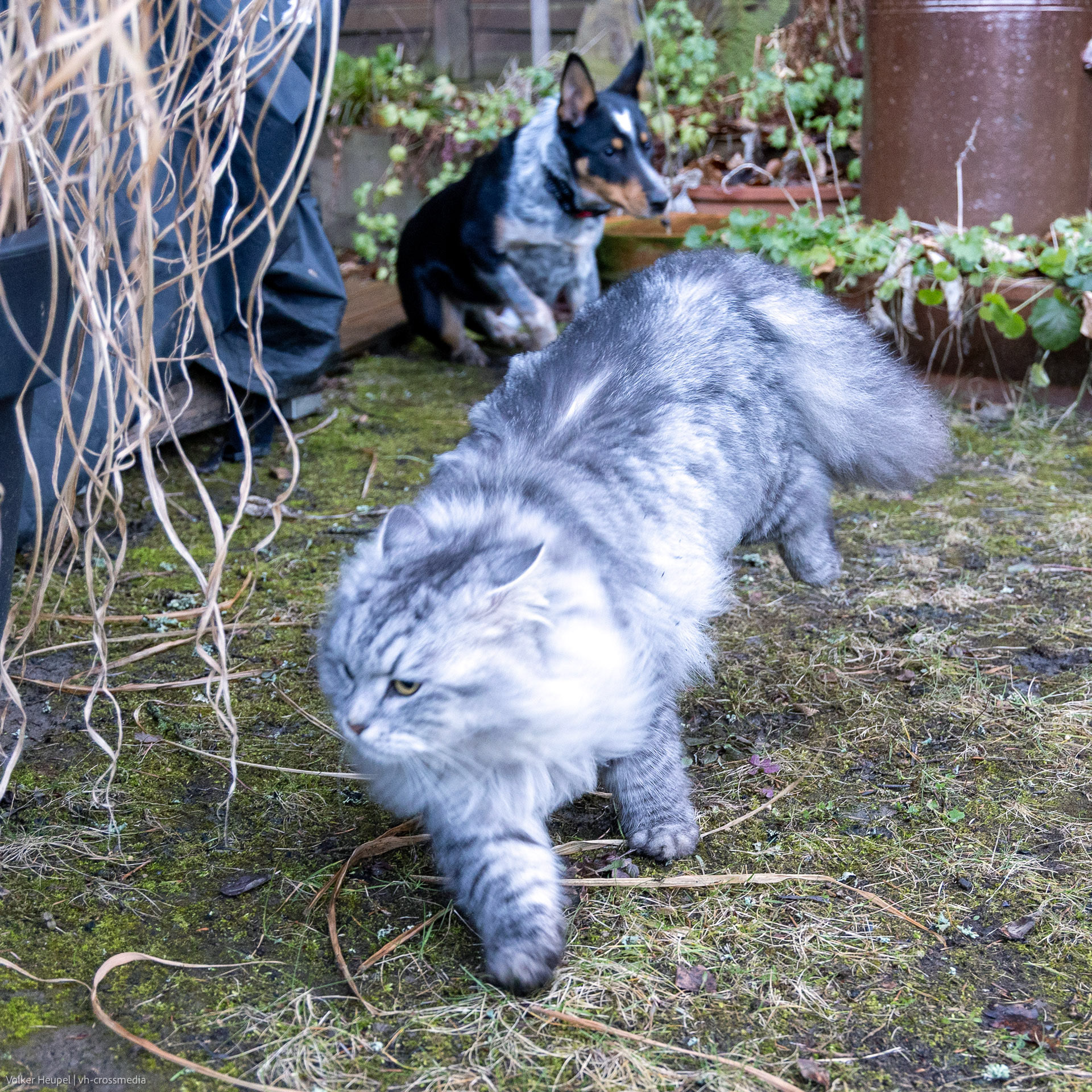 26-02-18_26-02-18_IMG_4085