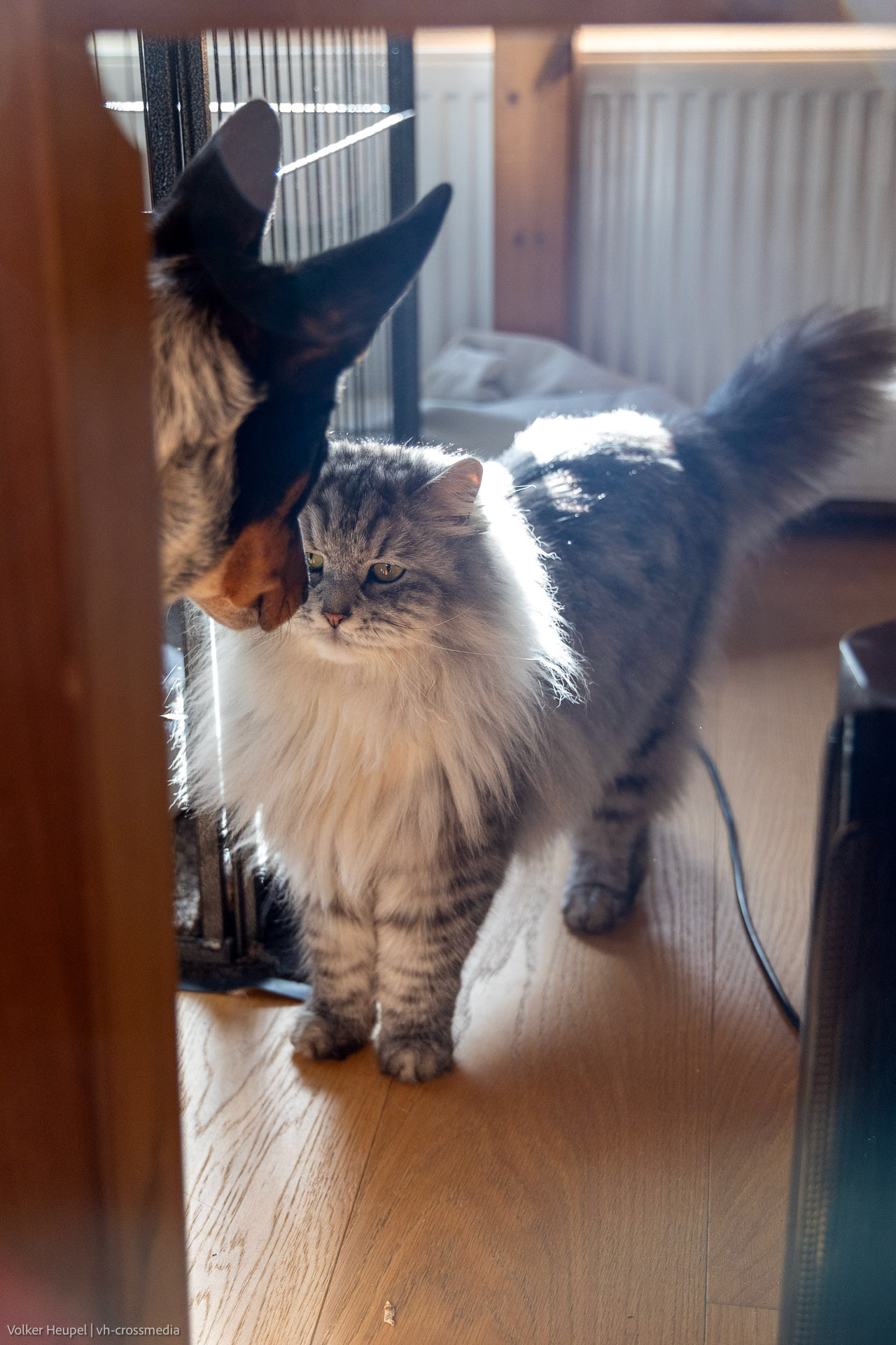 26-02-18_26-02-18_IMG_4093