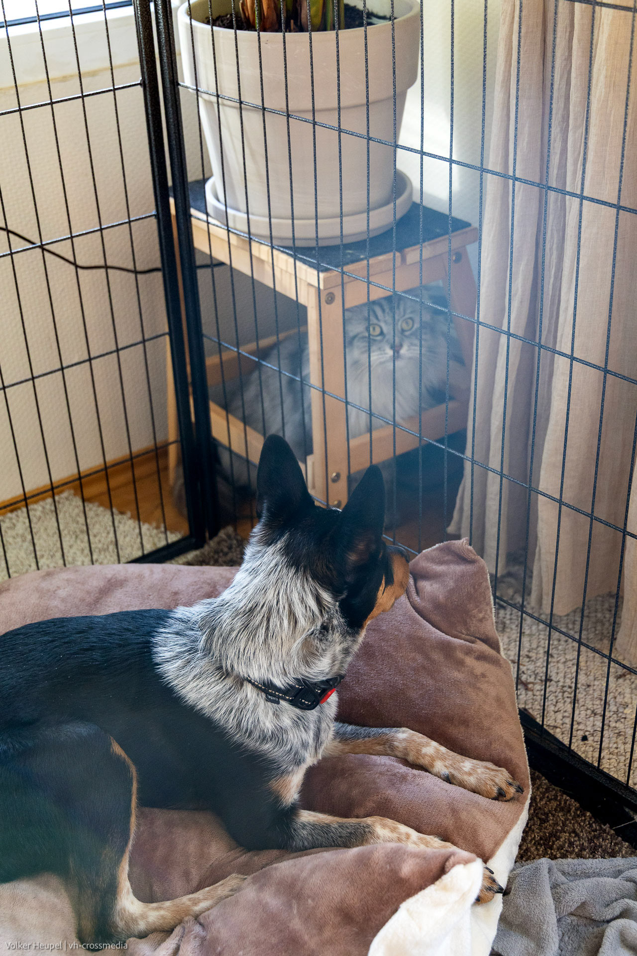 26-02-18_26-02-18_IMG_4104