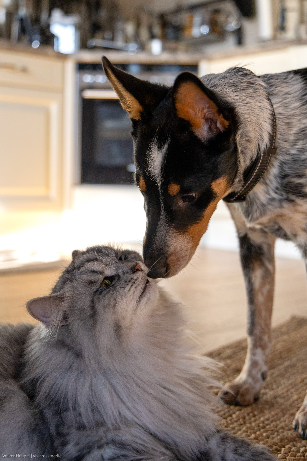 26-02-18_26-02-18_IMG_4109