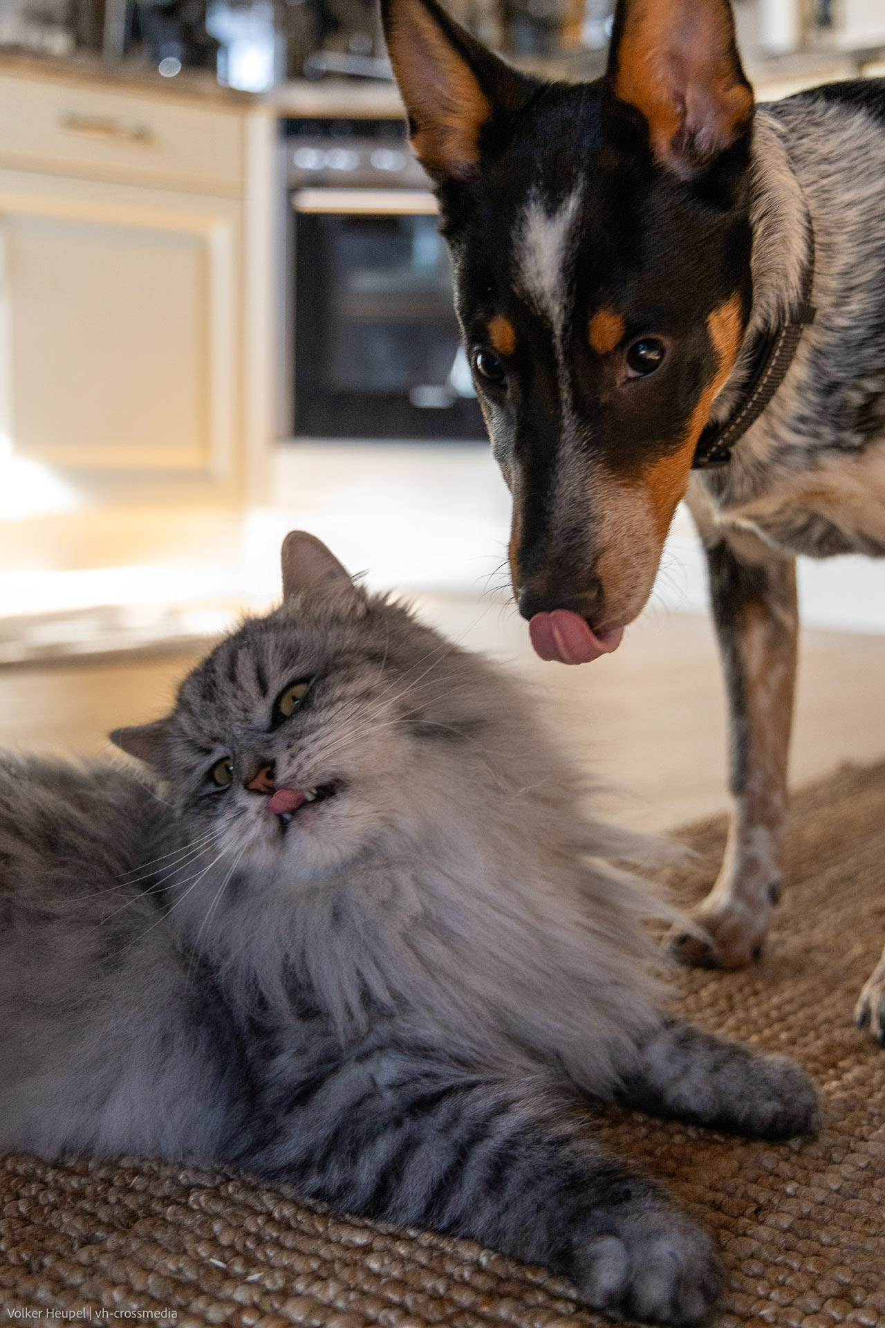 26-02-18_26-02-18_IMG_4113