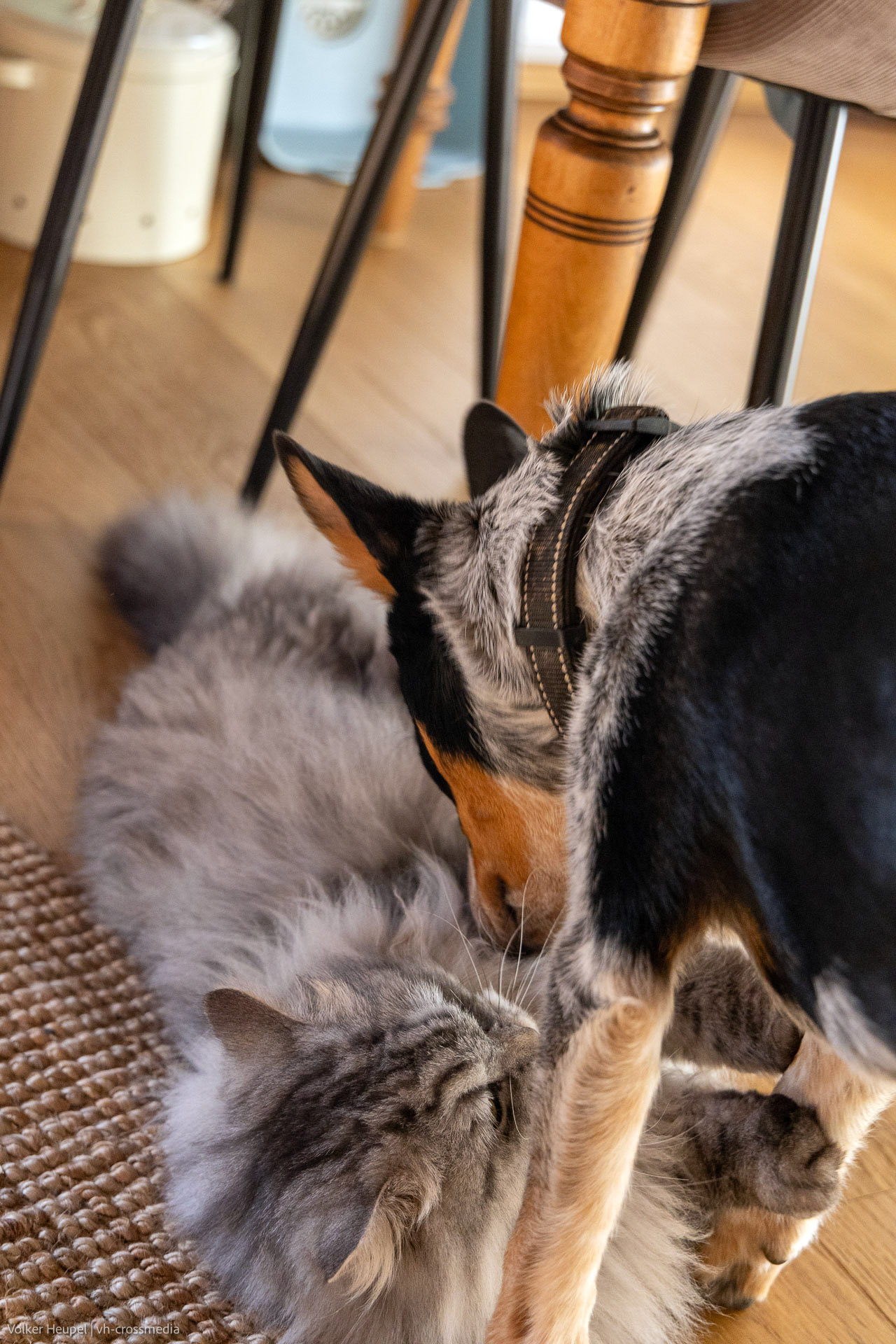 26-02-18_26-02-18_IMG_4124