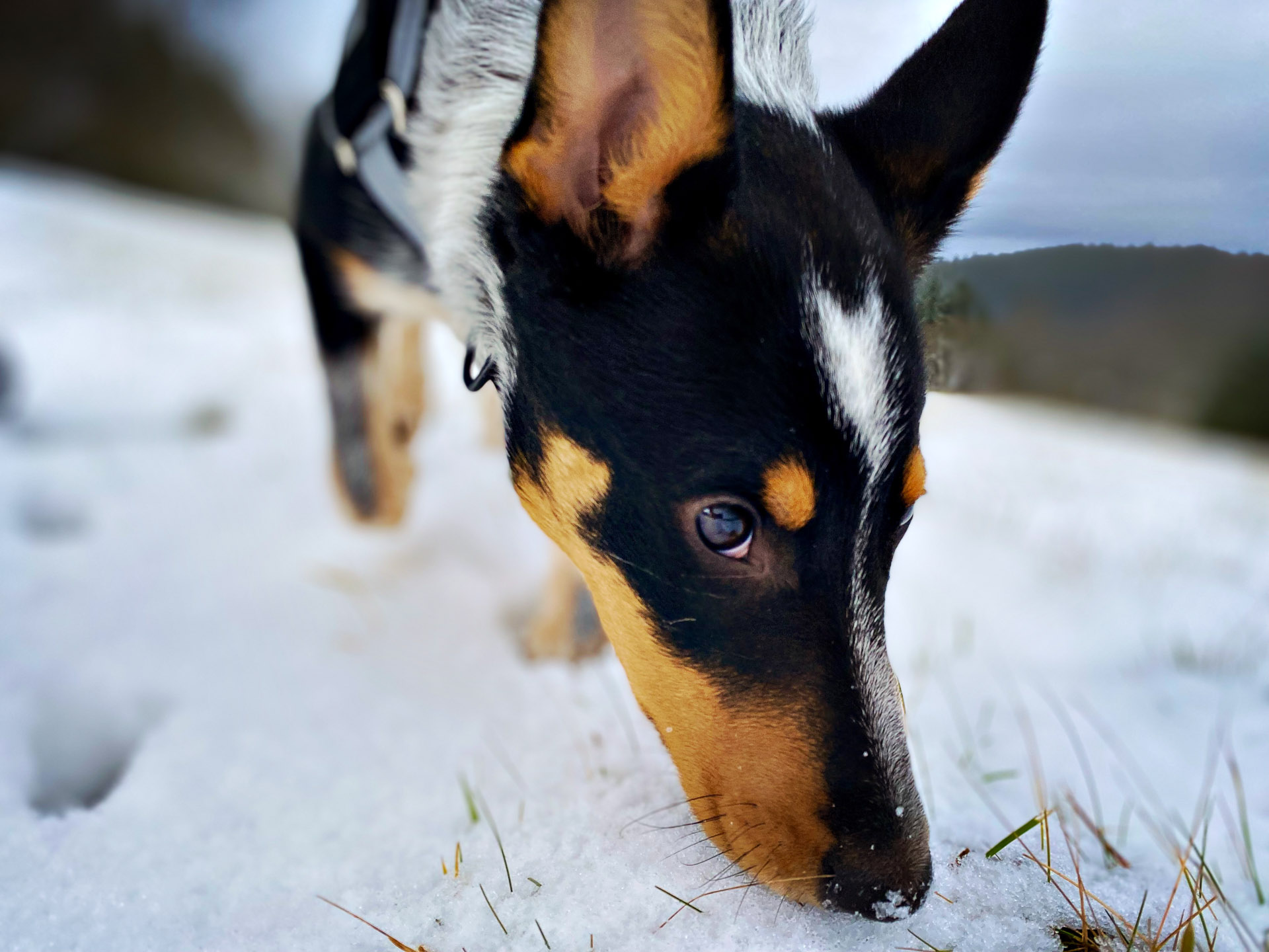 26-02-19_HipstamaticPhoto-793193984.923006